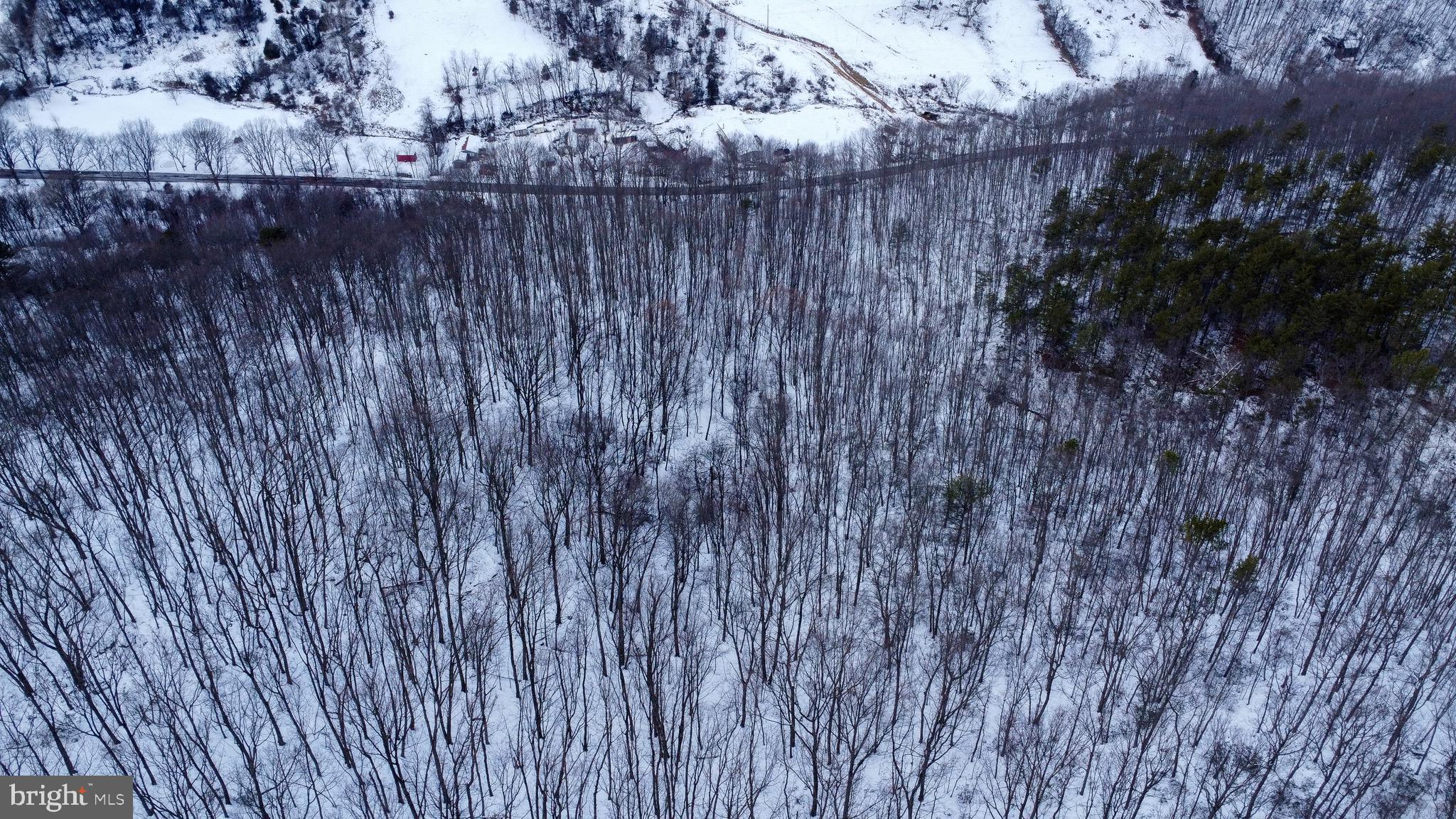 Cubbage Hollow Road Stanley, VA 22851 - Photo 17 of 23 a view of wooden fence