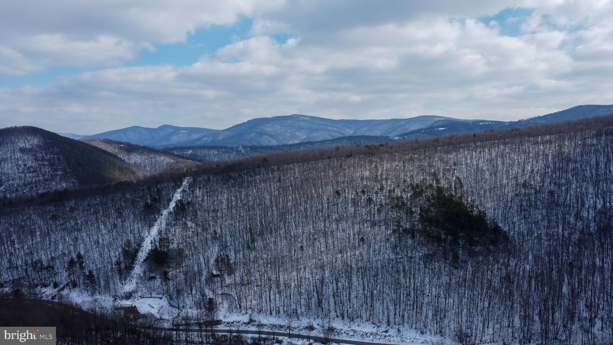 Cubbage Hollow Road Stanley, VA 22851 - Photo 20 of 23 a view of a houses with a yard