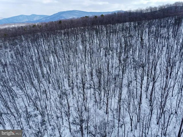 a view of a pathway with a wooden fence