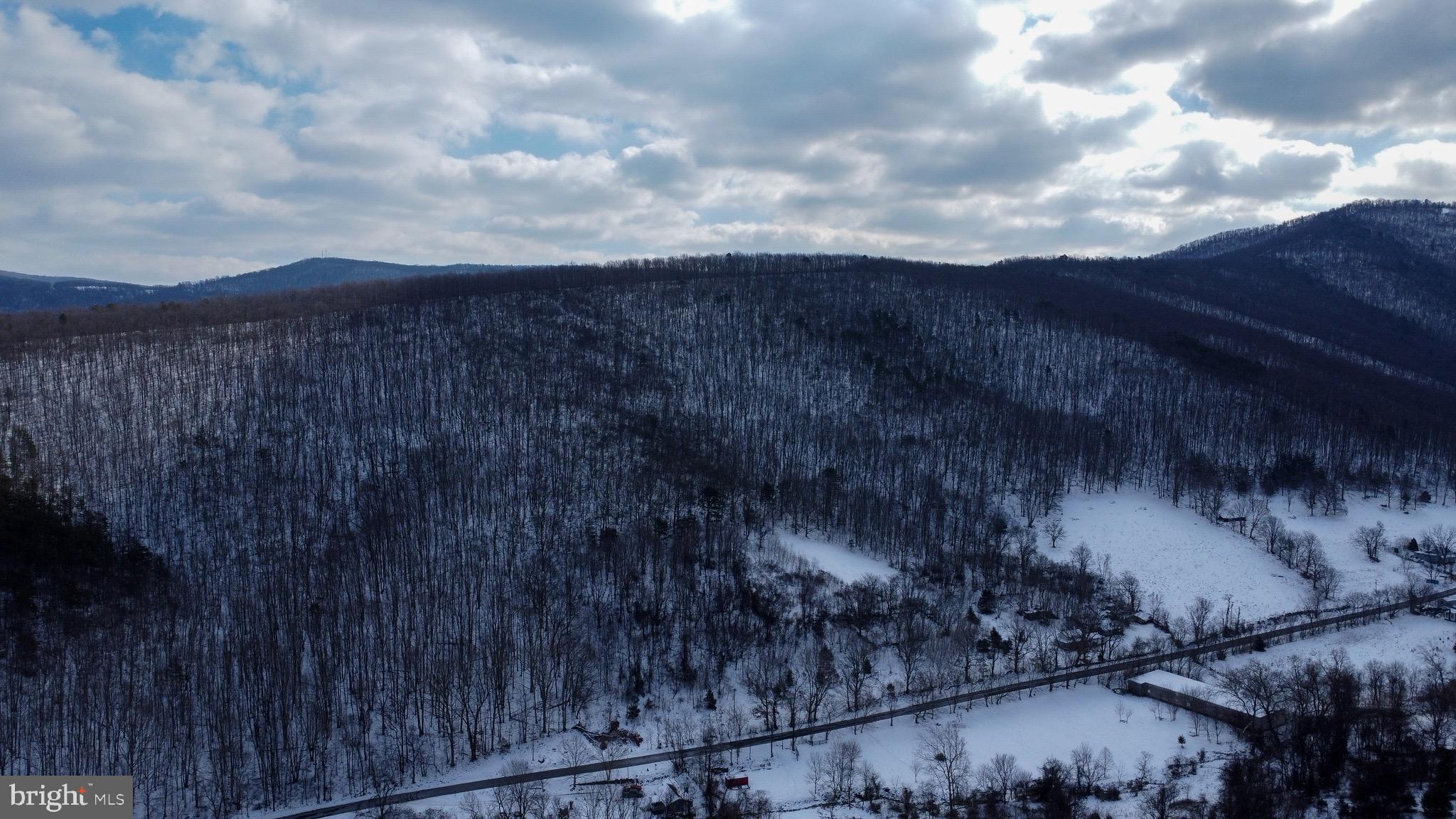 Cubbage Hollow Road Stanley, VA 22851 - Photo 21 of 23 a view of a yard