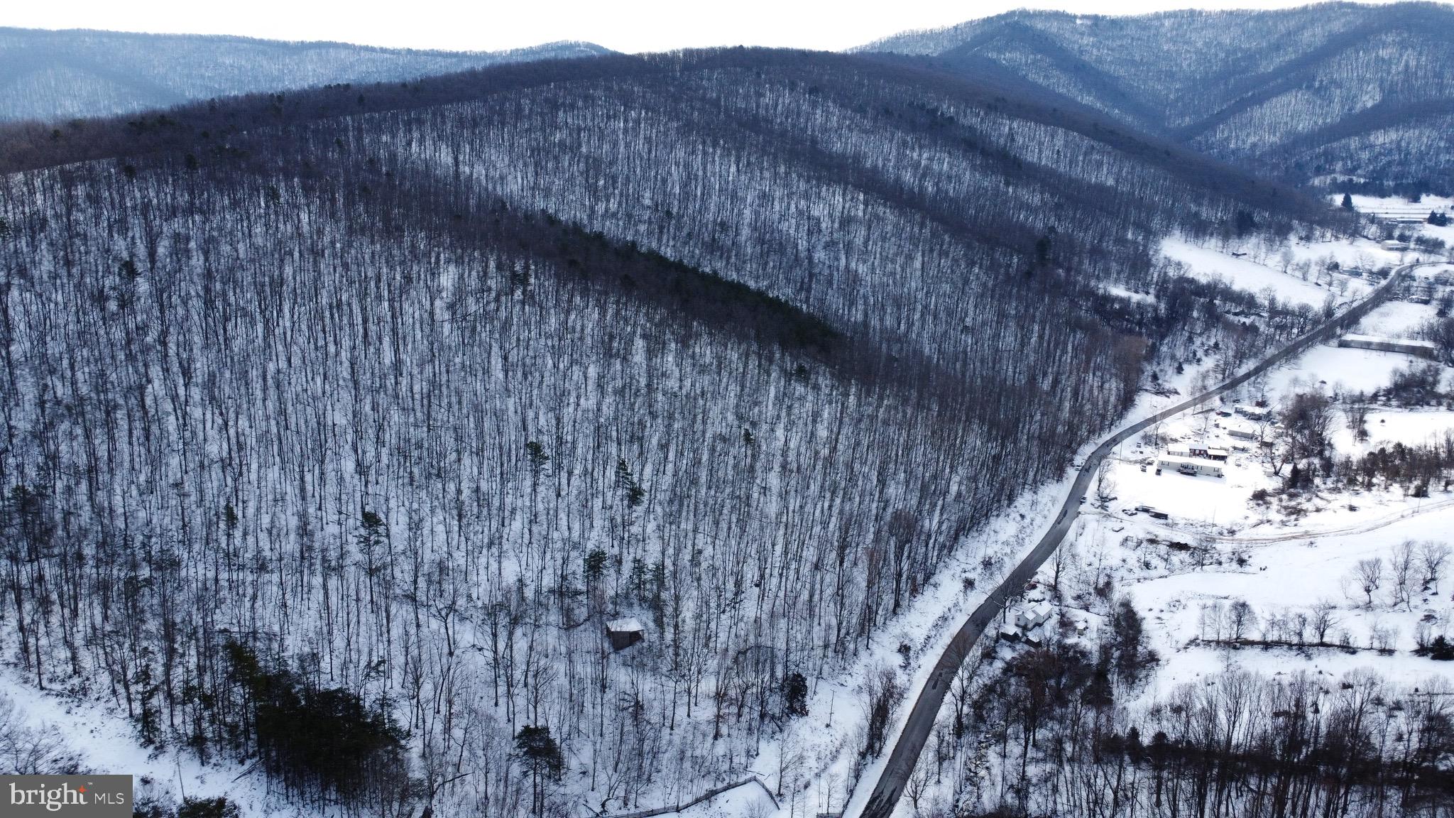 Cubbage Hollow Road Stanley, VA 22851 - Photo 23 of 23 a view of a dry yard with trees