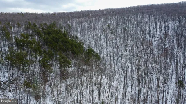 a close up of a wooden fence