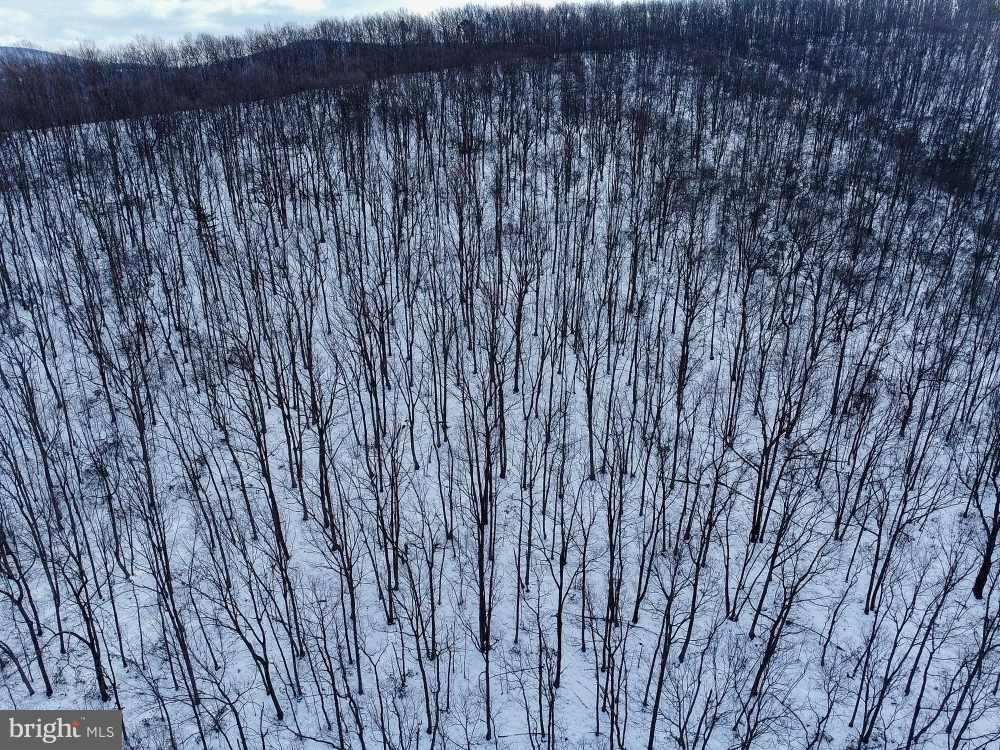 Cubbage Hollow Road Stanley, VA 22851 - Photo 4 of 23 a close up of a wooden fence