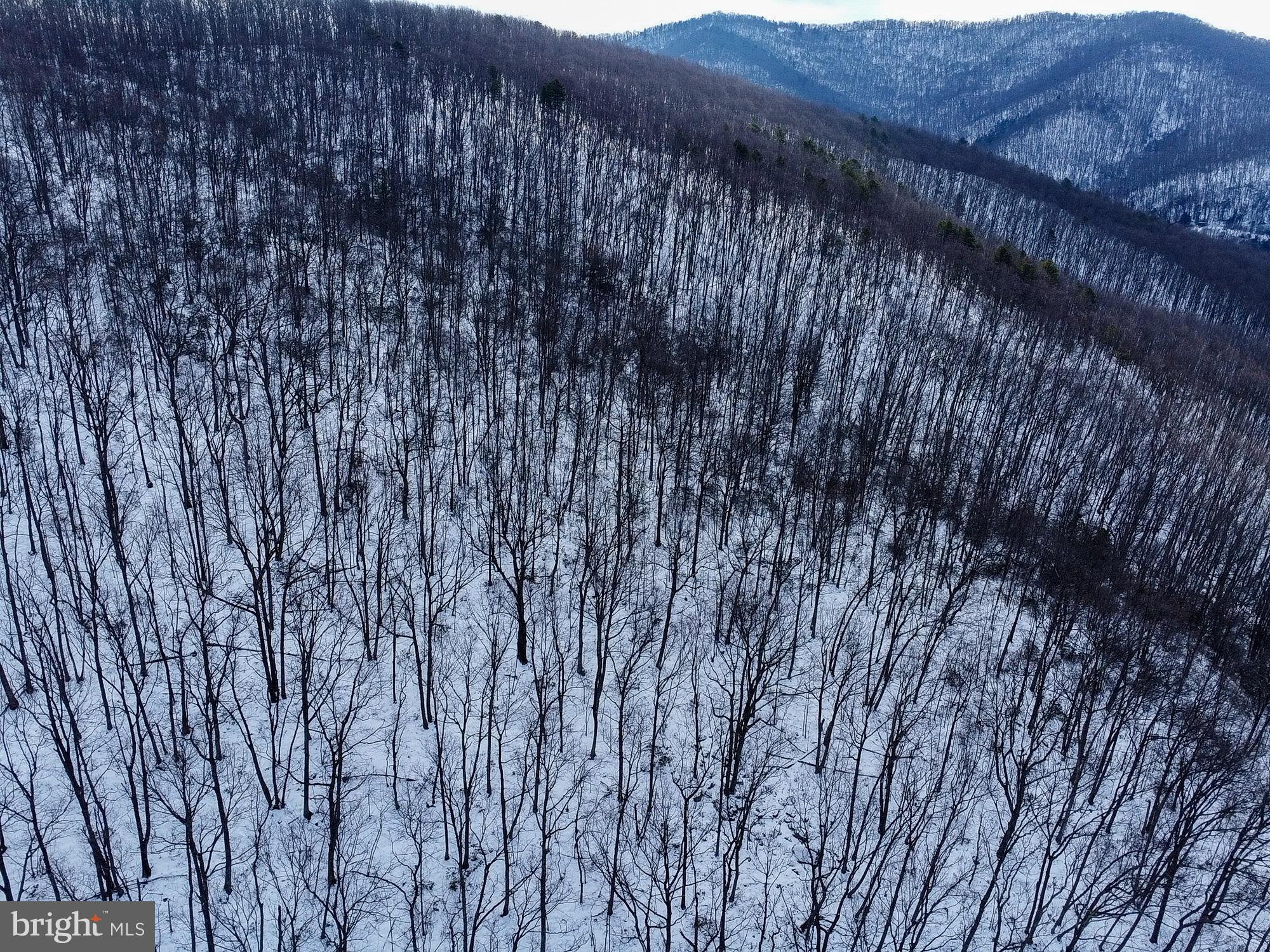 Cubbage Hollow Road Stanley, VA 22851 - Photo 5 of 23 a view of a dry yard with mountains in the background