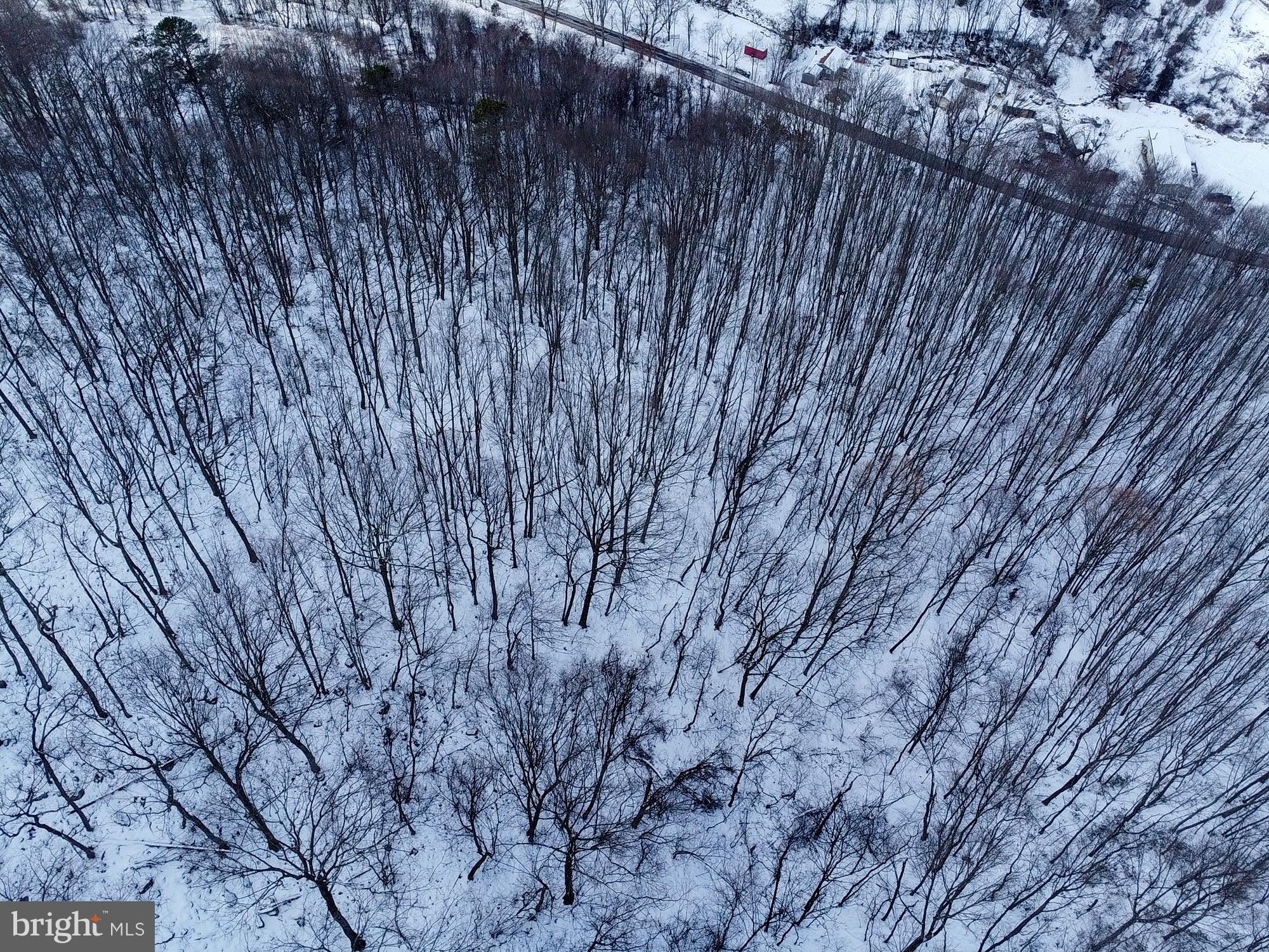 Cubbage Hollow Road Stanley, VA 22851 - Photo 6 of 23 a view of a backyard