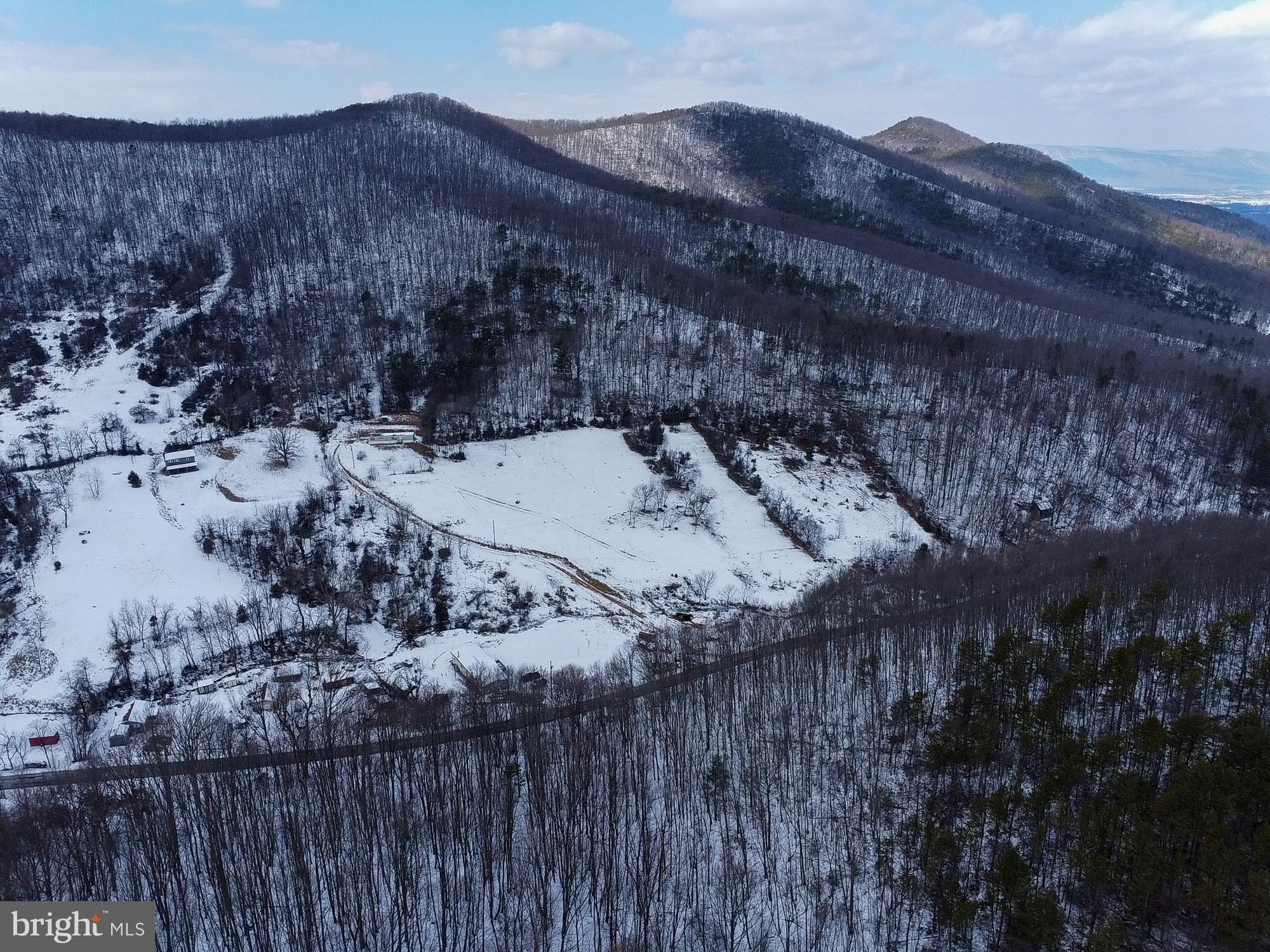 Cubbage Hollow Road Stanley, VA 22851 - Photo 8 of 23 a view of a backyard