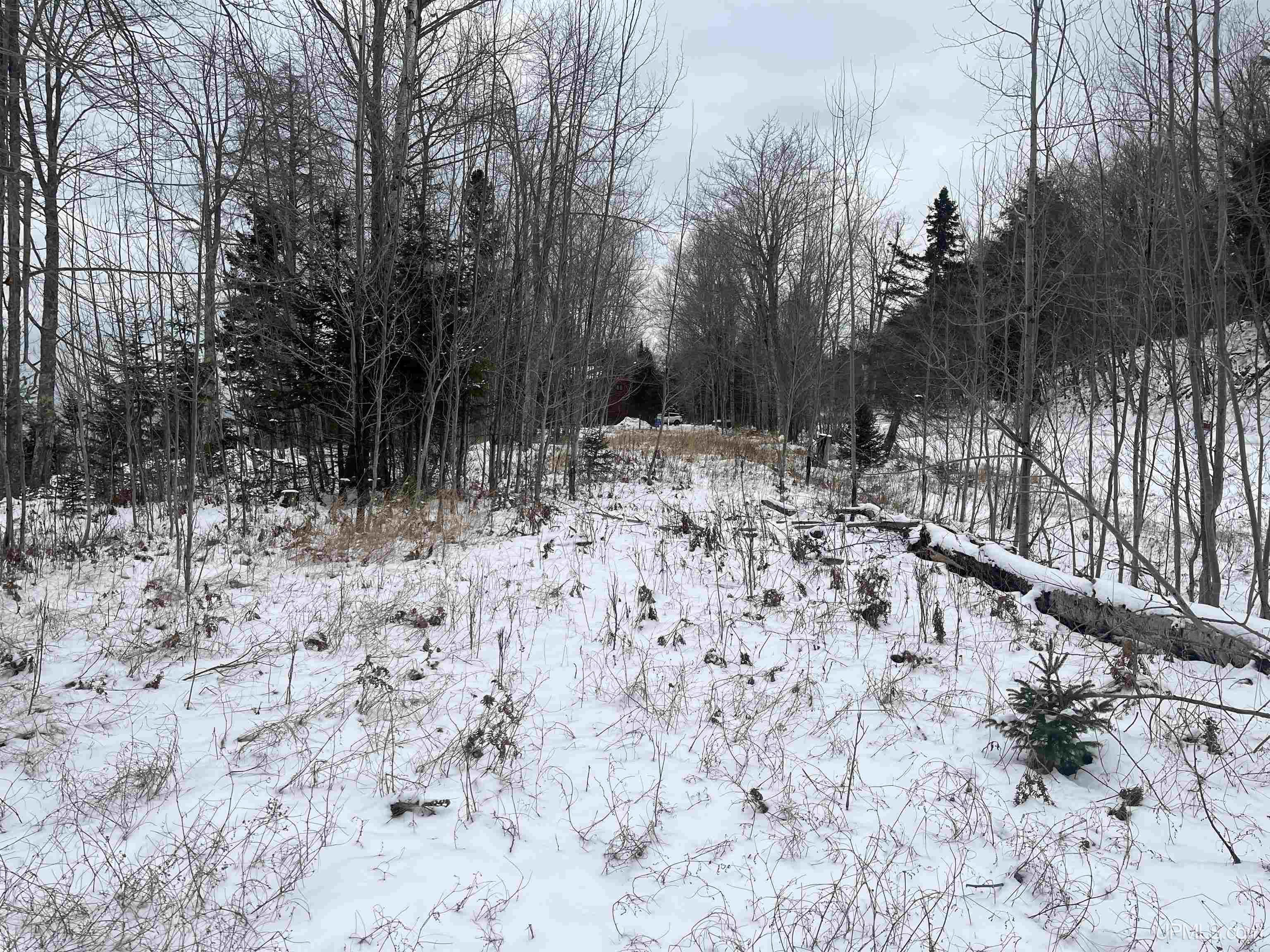 3 Eagles Nest Road Marquette, MI 49855 - Photo 10 of 20