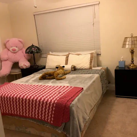 a bedroom with a bed and a closet