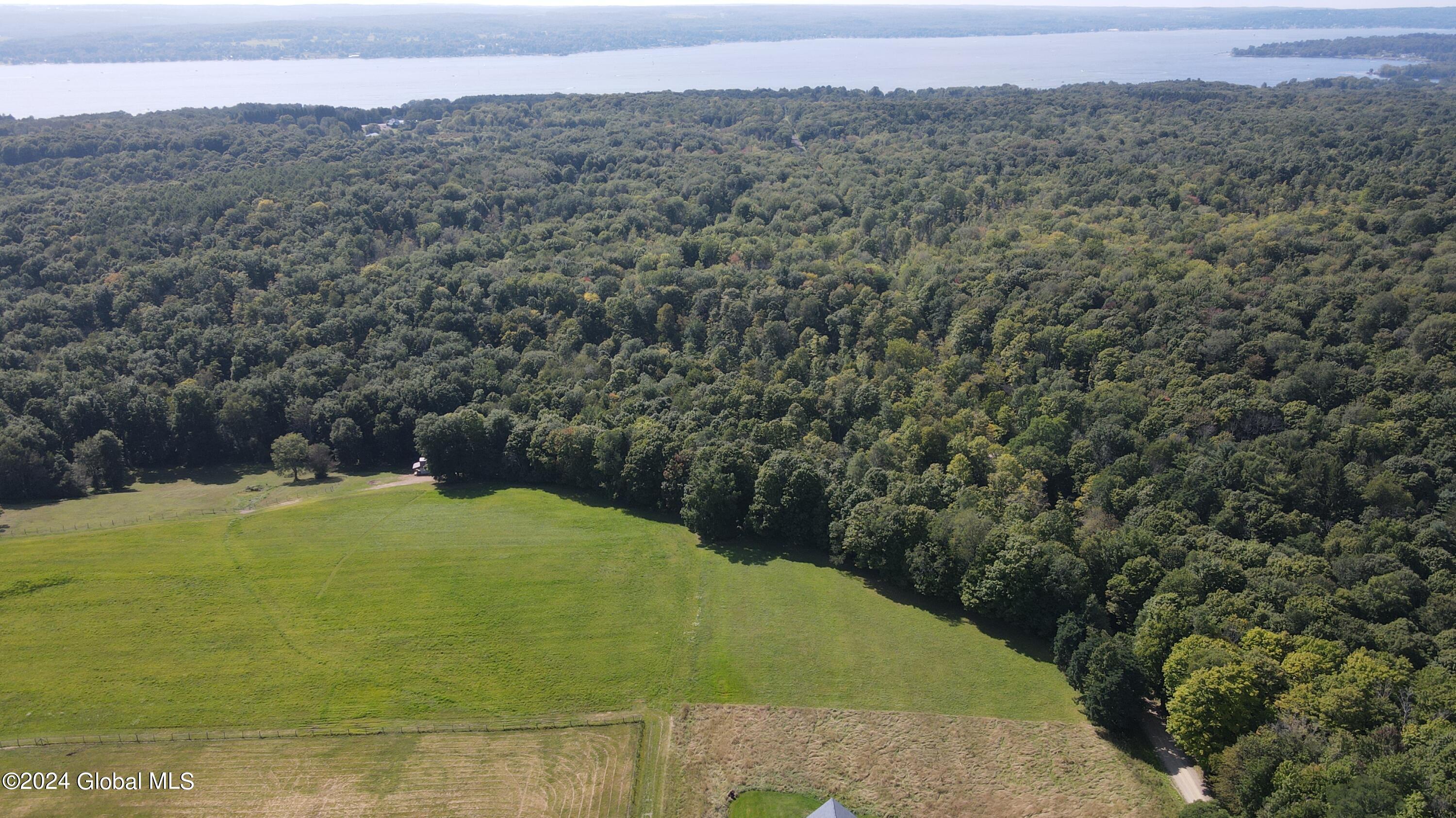 L31 Lewis Road Bemus Point, NY 14712 - Photo 2 of 16 DJI_0098
