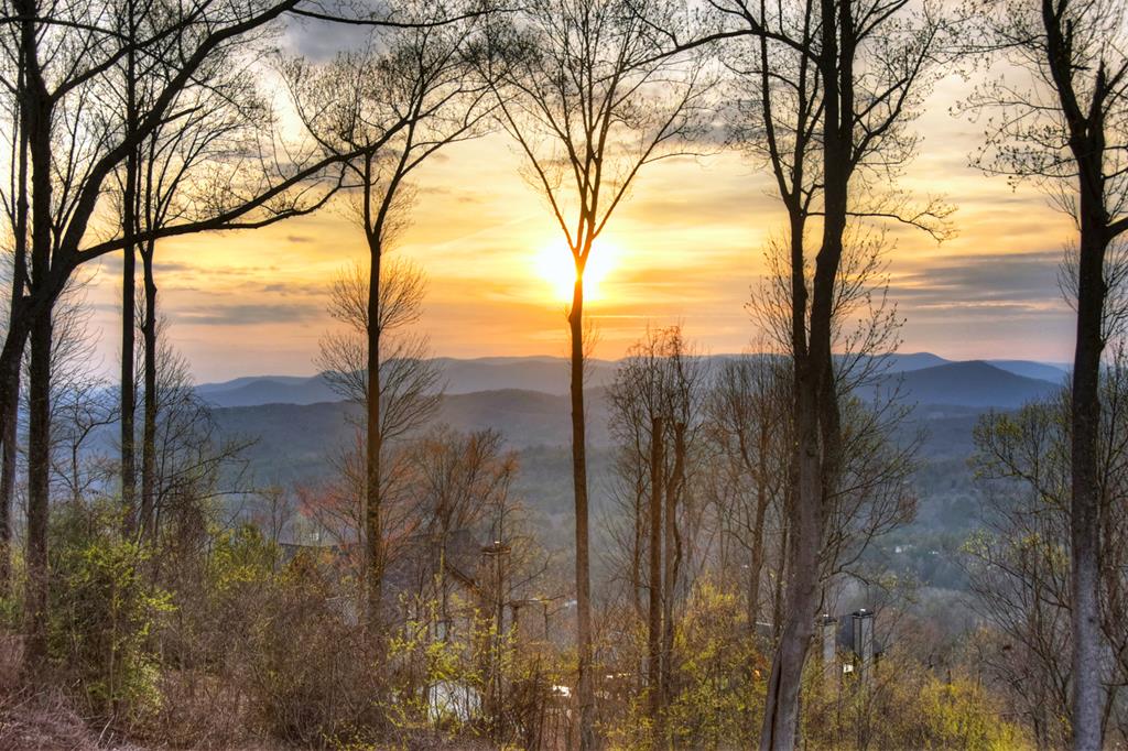 472 Overlook Drive Blue Ridge, GA 30513 - Photo 33 of 58 a view of a yard from a large tree