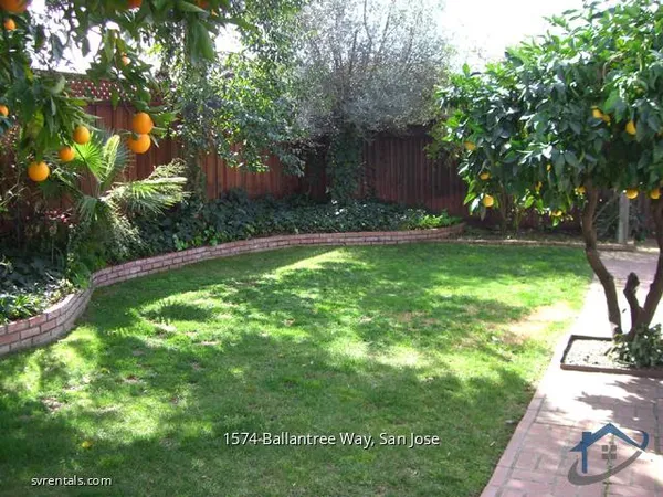 a view of a backyard with a garden