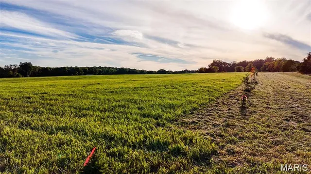 $370,000 | 3821 Holt Road, Wentzville, MO 63385