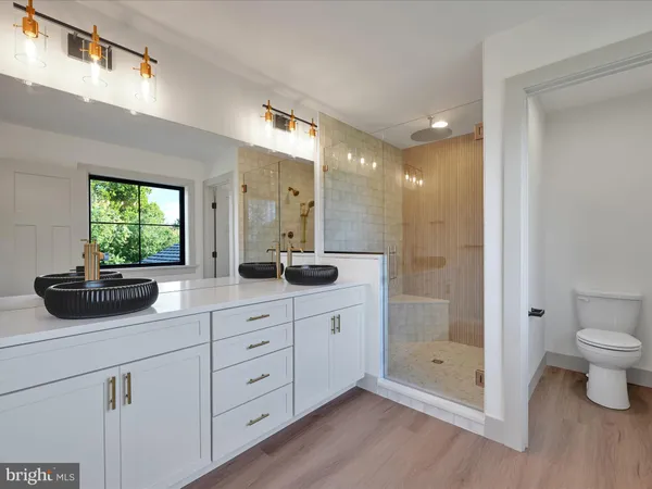 a bathroom with a double vanity sink a toilet a mirror and shower