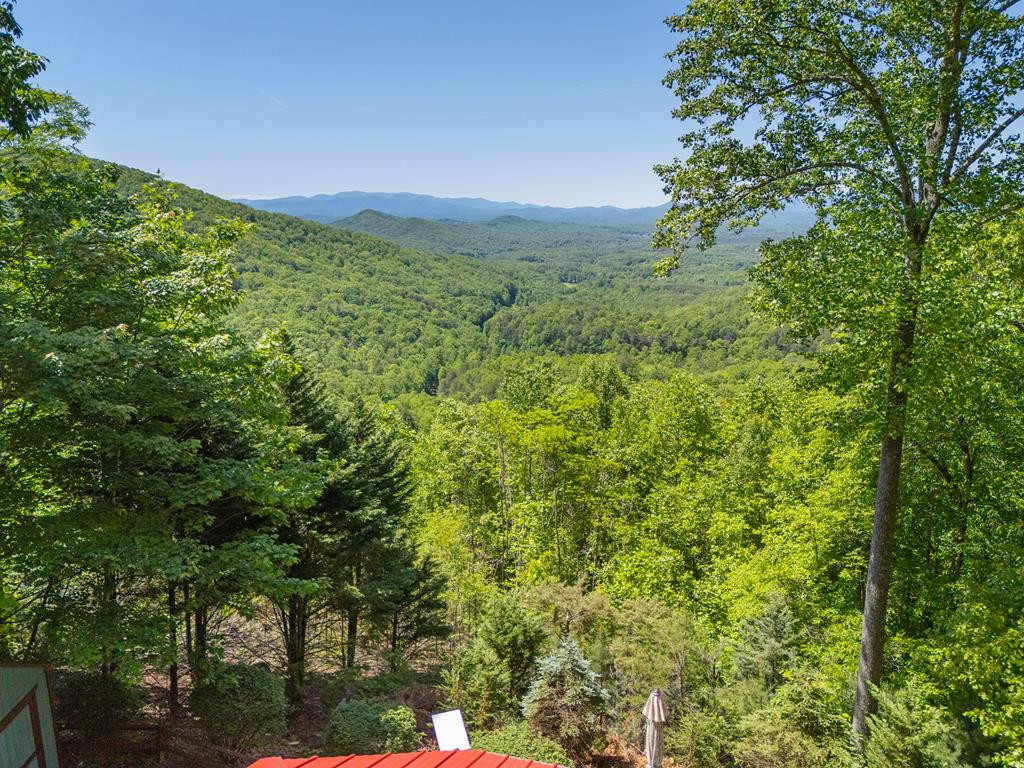 124 U Drive Road Murphy, NC 28906 - Photo 45 of 49