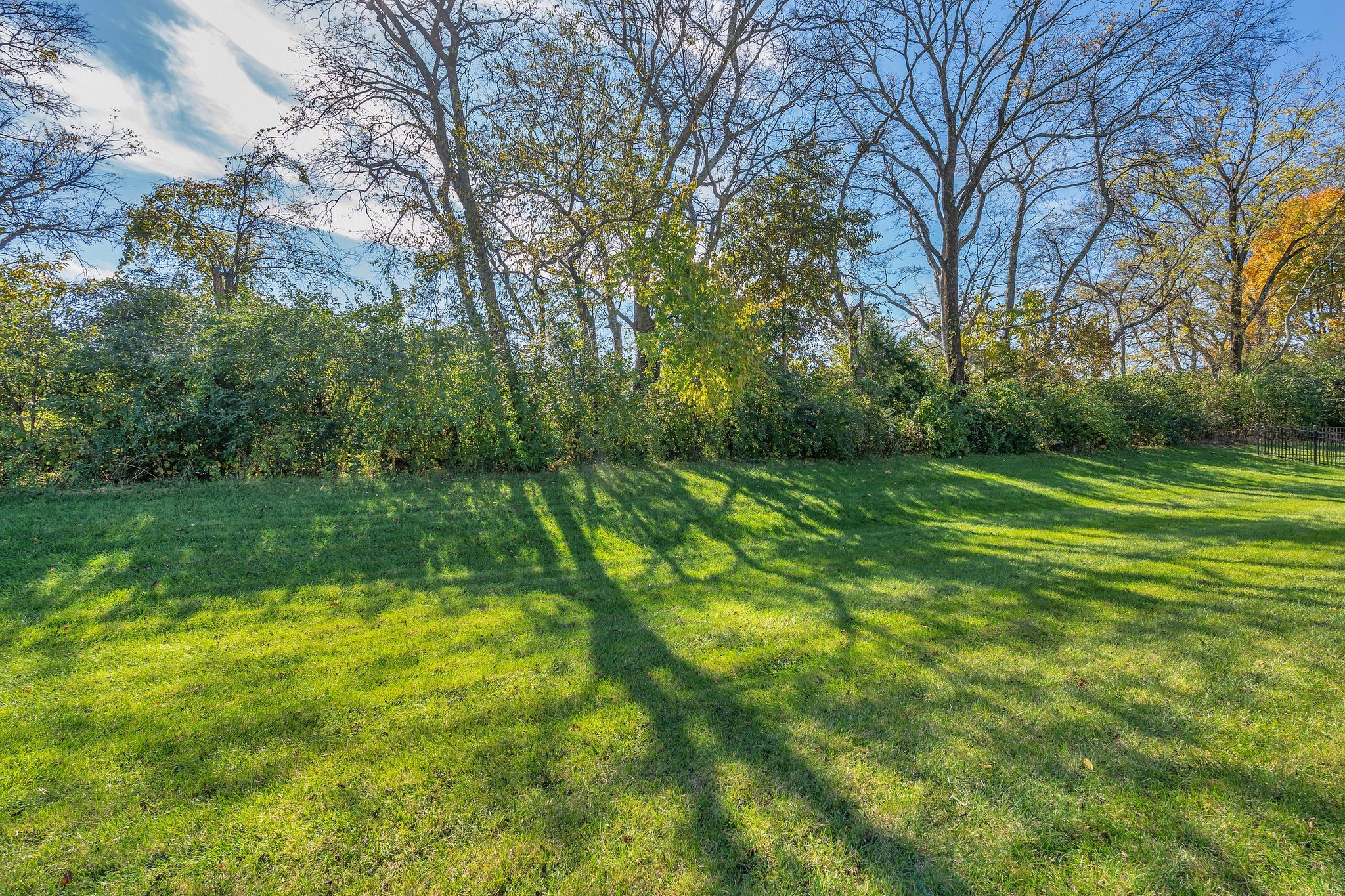 2061 Hardin Place Spring Hill, TN 37174 - Photo 37 of 65 a view of a grassy field with trees