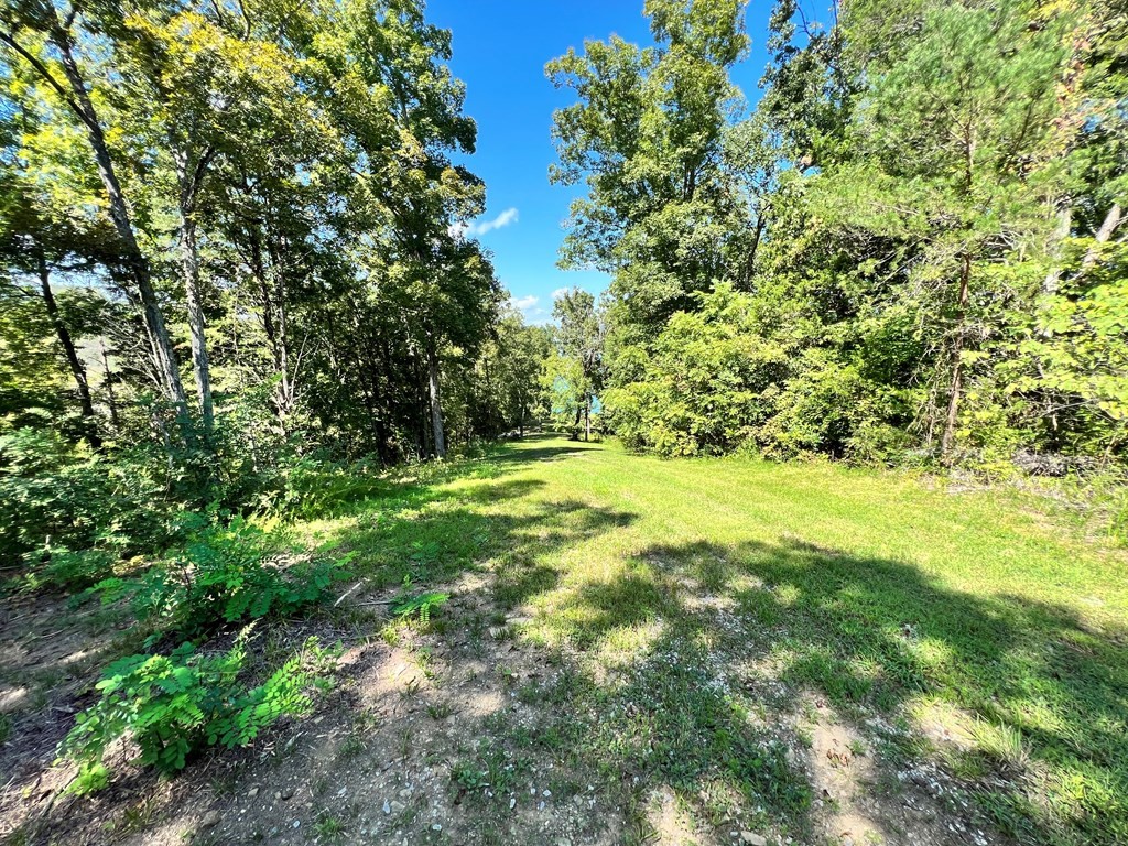 232425 Scott Street Sevierville, TN 37876 - Photo 28 of 34