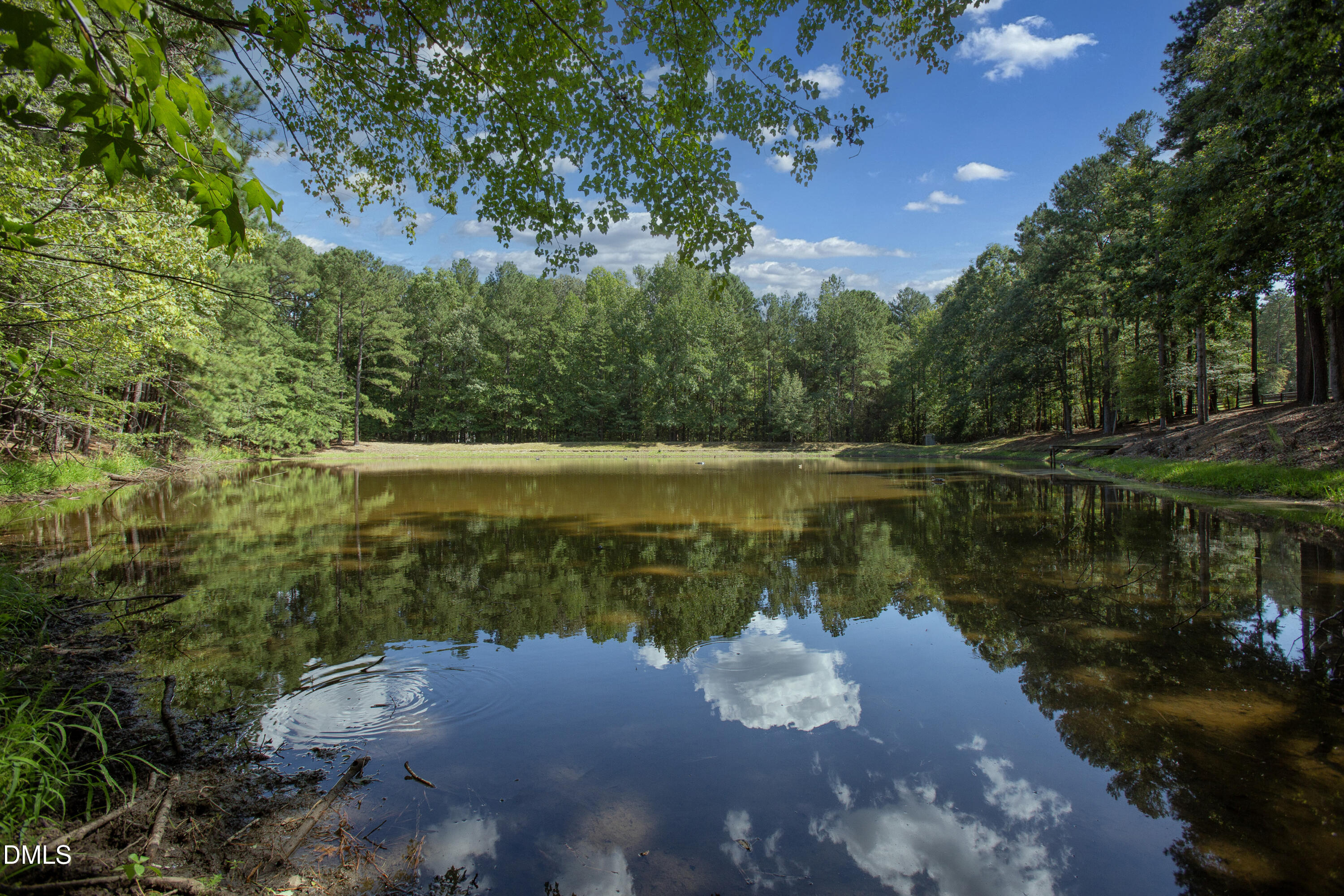 1716 Brassfield Road Raleigh, NC 27614 - Photo 31 of 74 Brassfield 12