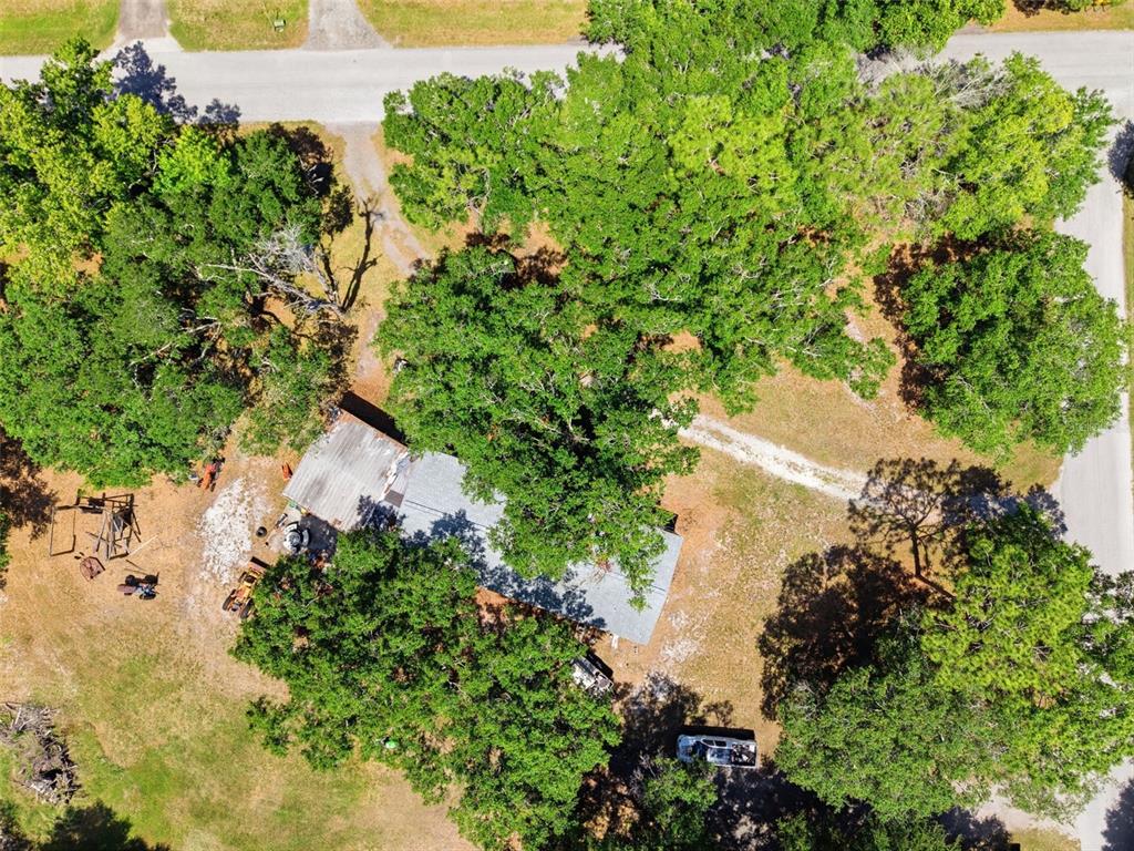 17214 Chinaberry Road Lutz, FL 33558 - Photo 3 of 17
