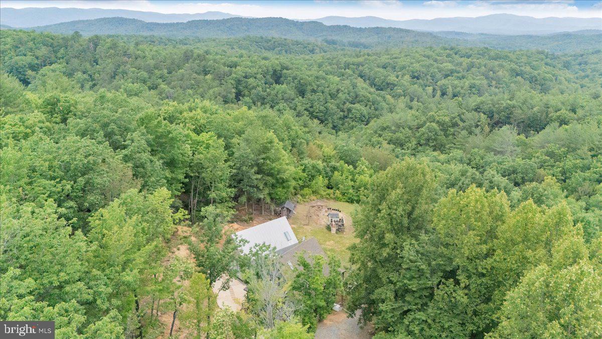 722 Foley Ridge Road Stuart, VA 24171 - Photo 62 of 67 Serene retreat amidst lush greenery.