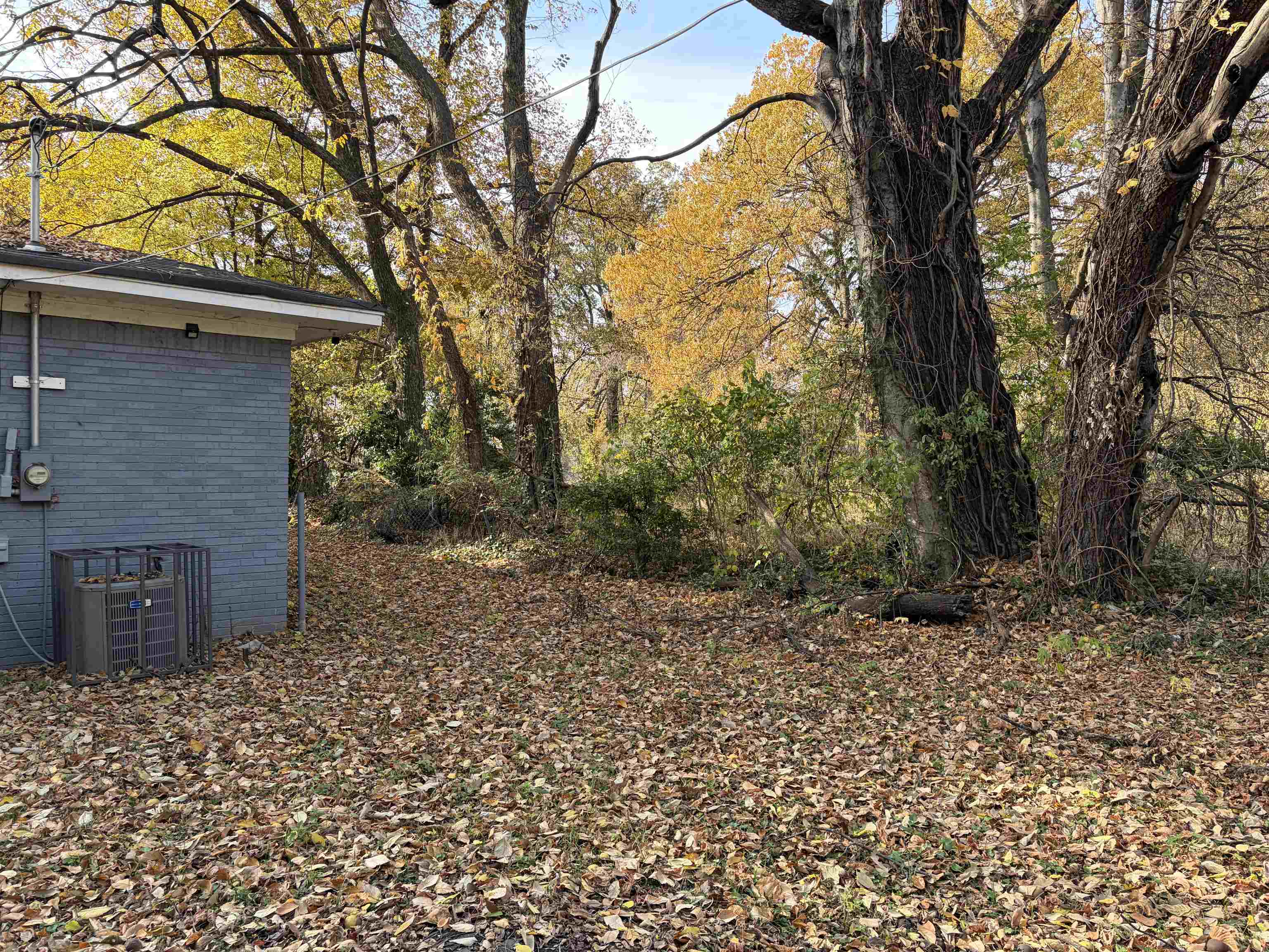 1278 Edith Avenue Memphis, TN 38106 - Photo 8 of 17 a backyard of a house with lots of green space