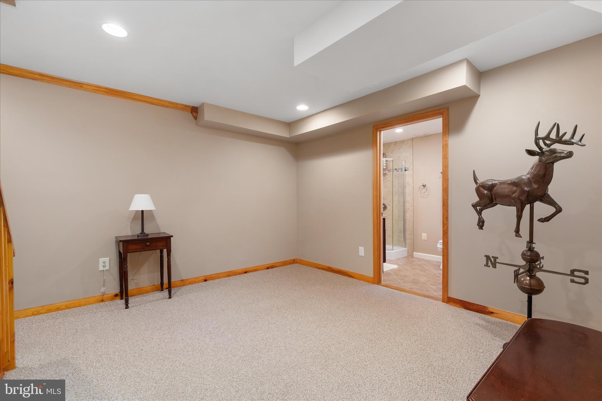 272 Buster Brown Drive Rio, WV 26755 - Photo 49 of 113 Finished Basement
