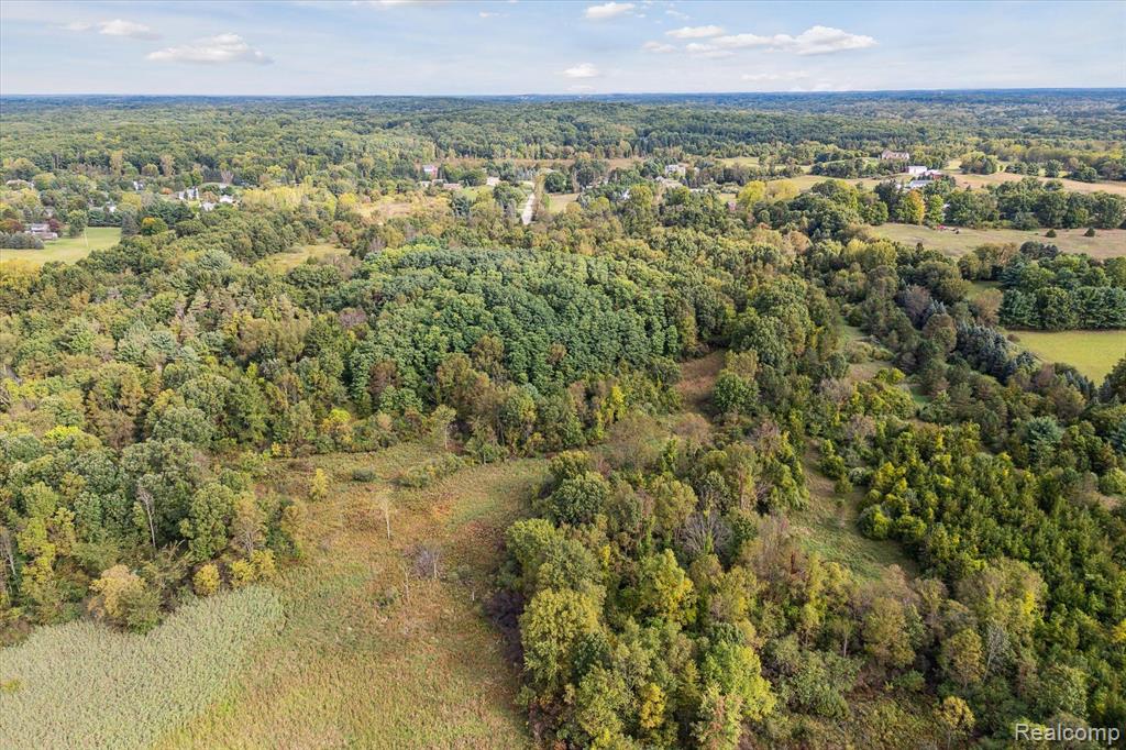 0 Swarthout Road Pinckney, MI 48169 - Photo 16 of 16