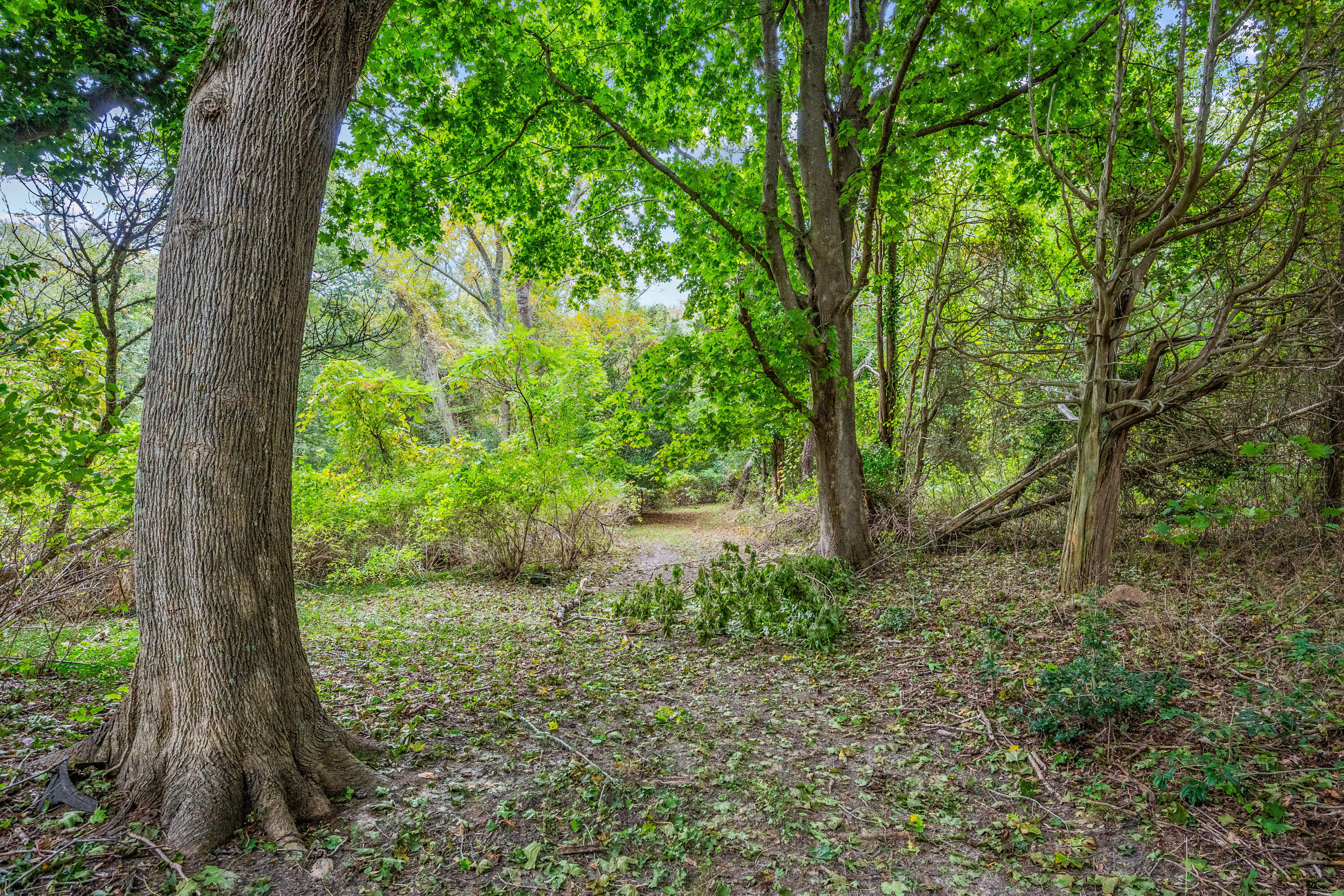 2414-2416 Meetinghouse Way West Barnstable, MA 02668 - Photo 56 of 73 CopyofDSC_5509