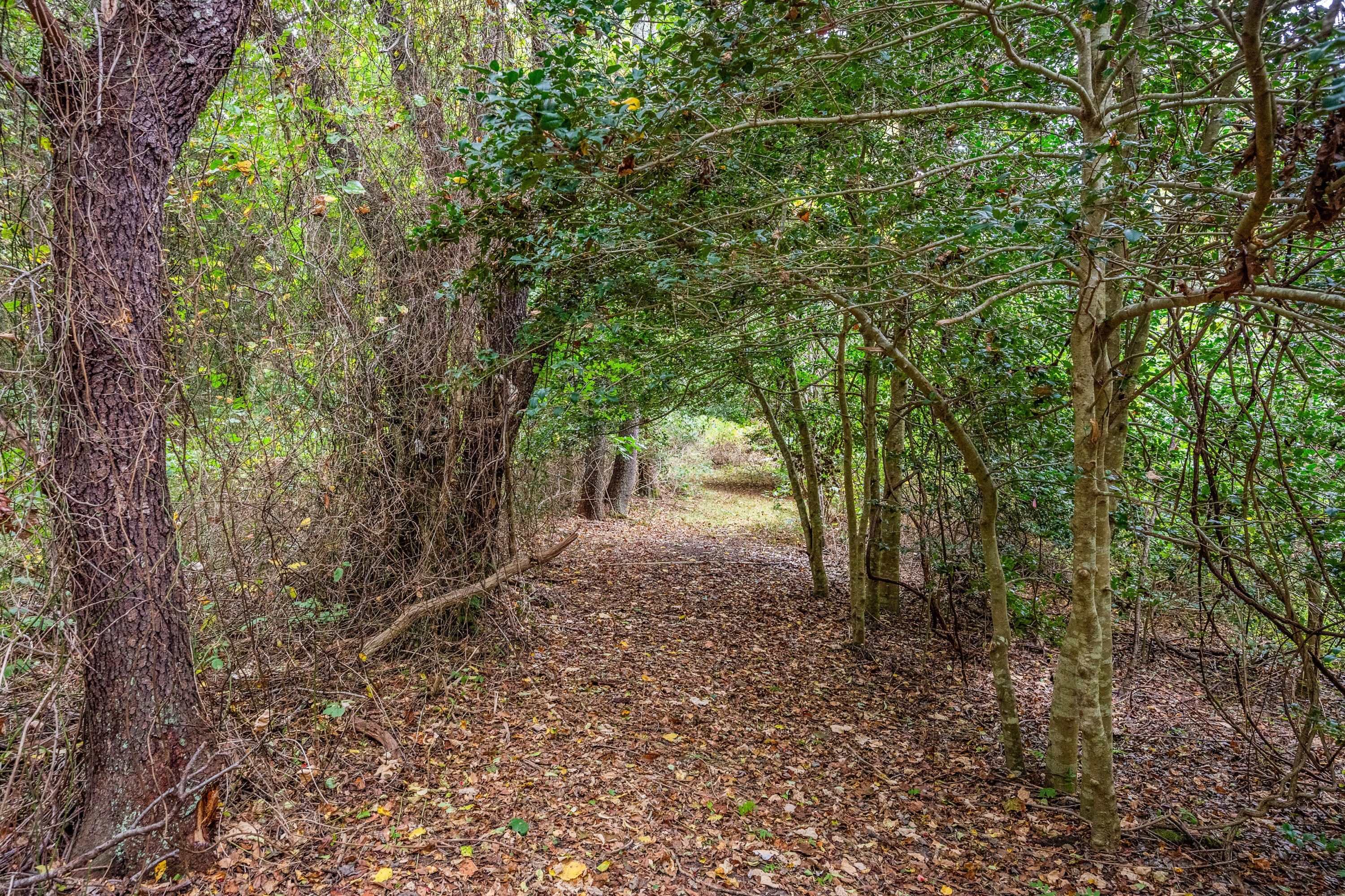 2414-2416 Meetinghouse Way West Barnstable, MA 02668 - Photo 57 of 73 CopyofDSC_5512