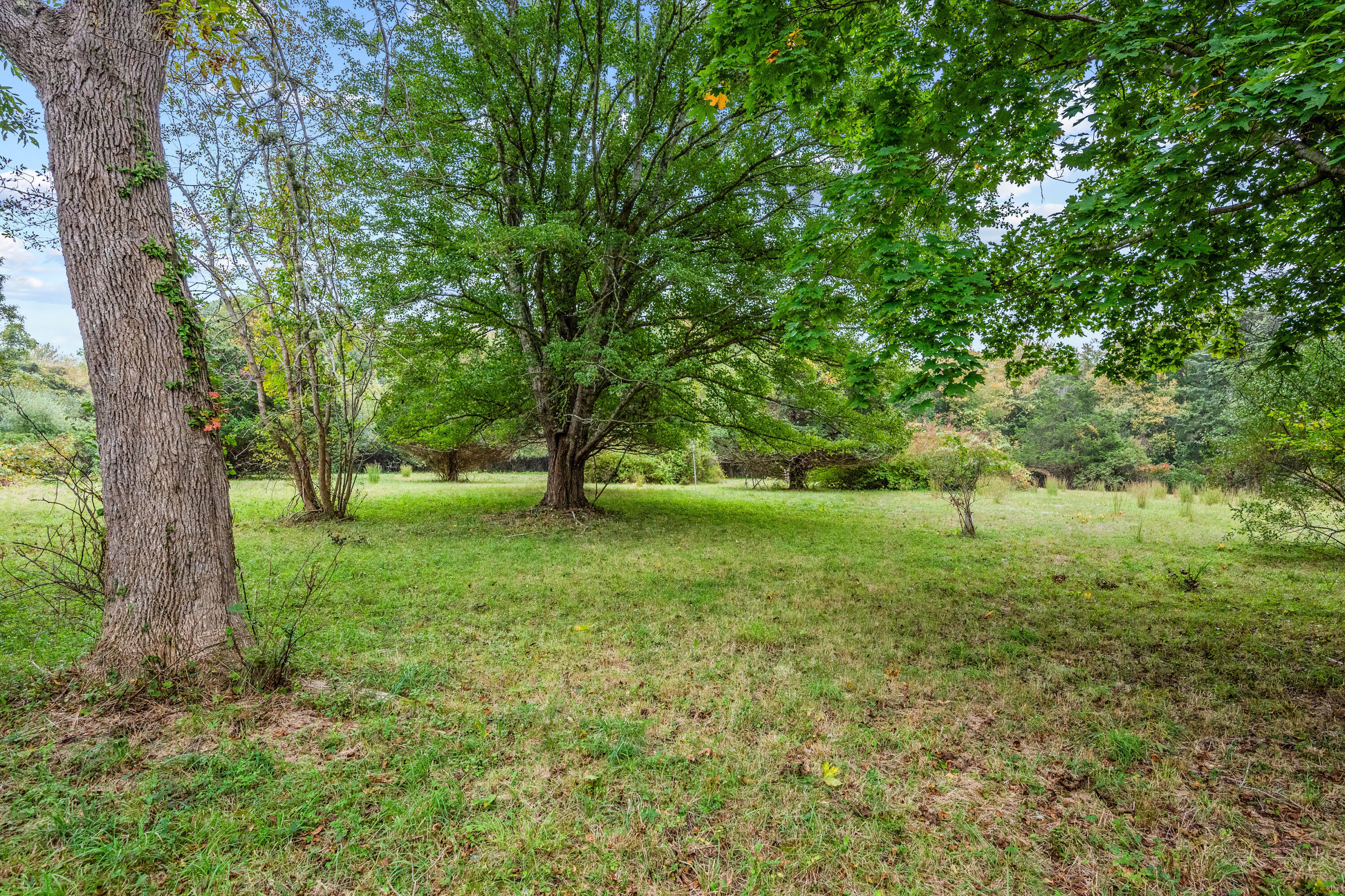 2414-2416 Meetinghouse Way West Barnstable, MA 02668 - Photo 59 of 73 CopyofDSC_5521