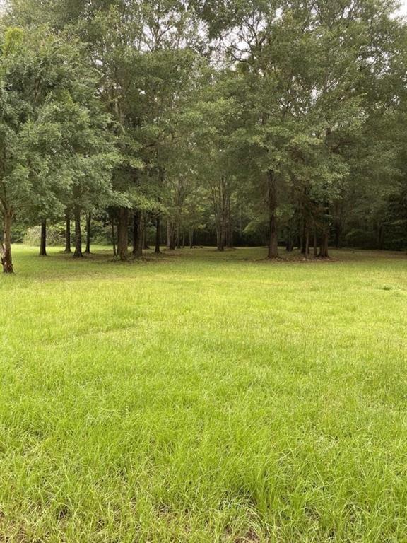1884 Berry Road Vinton, LA 70668 - Photo 24 of 24 Gallery Image 24