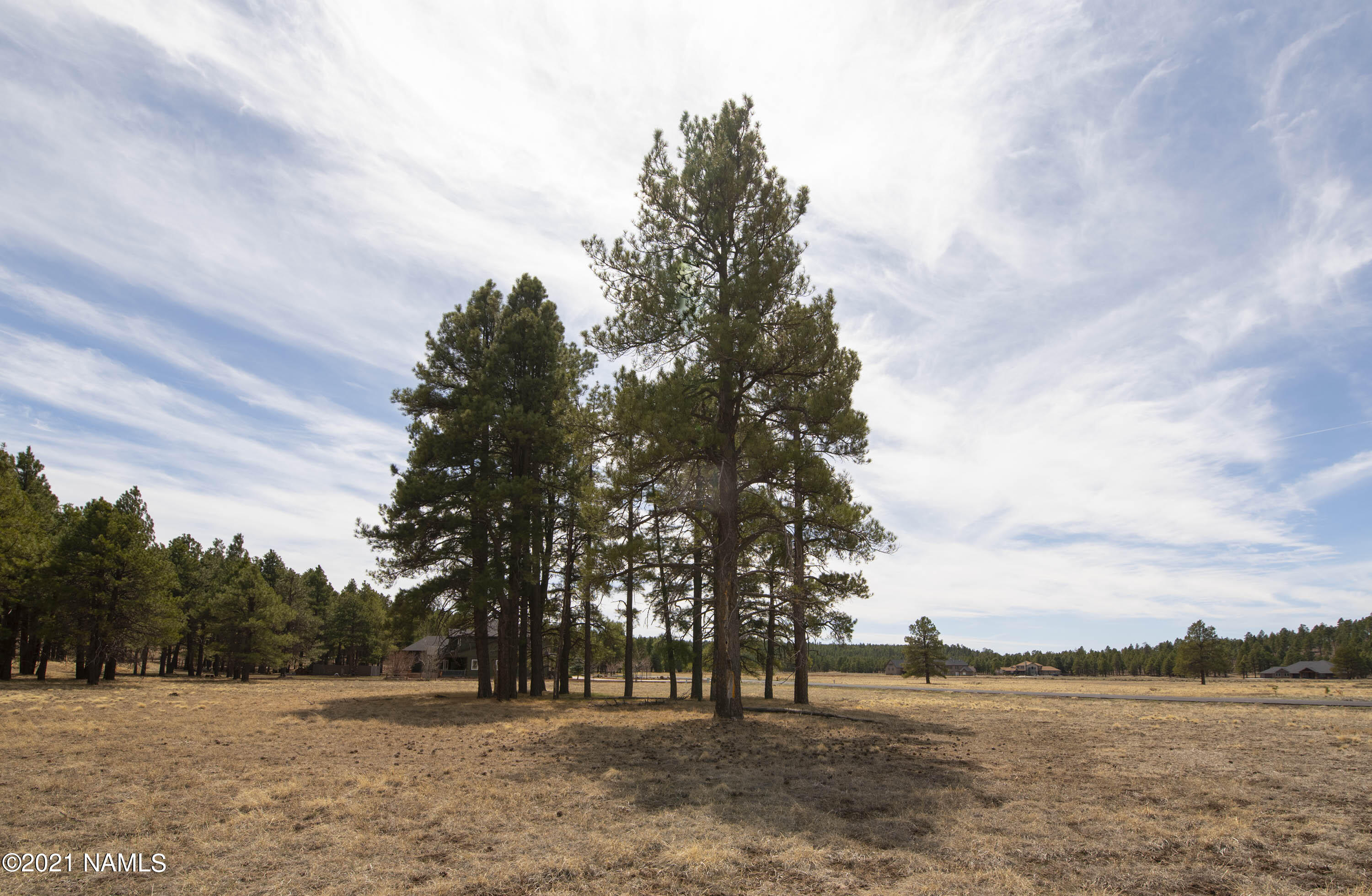 4565 Brackin Ranch Road Flagstaff, AZ 86001 - Photo 5 of 22 DSC_3325