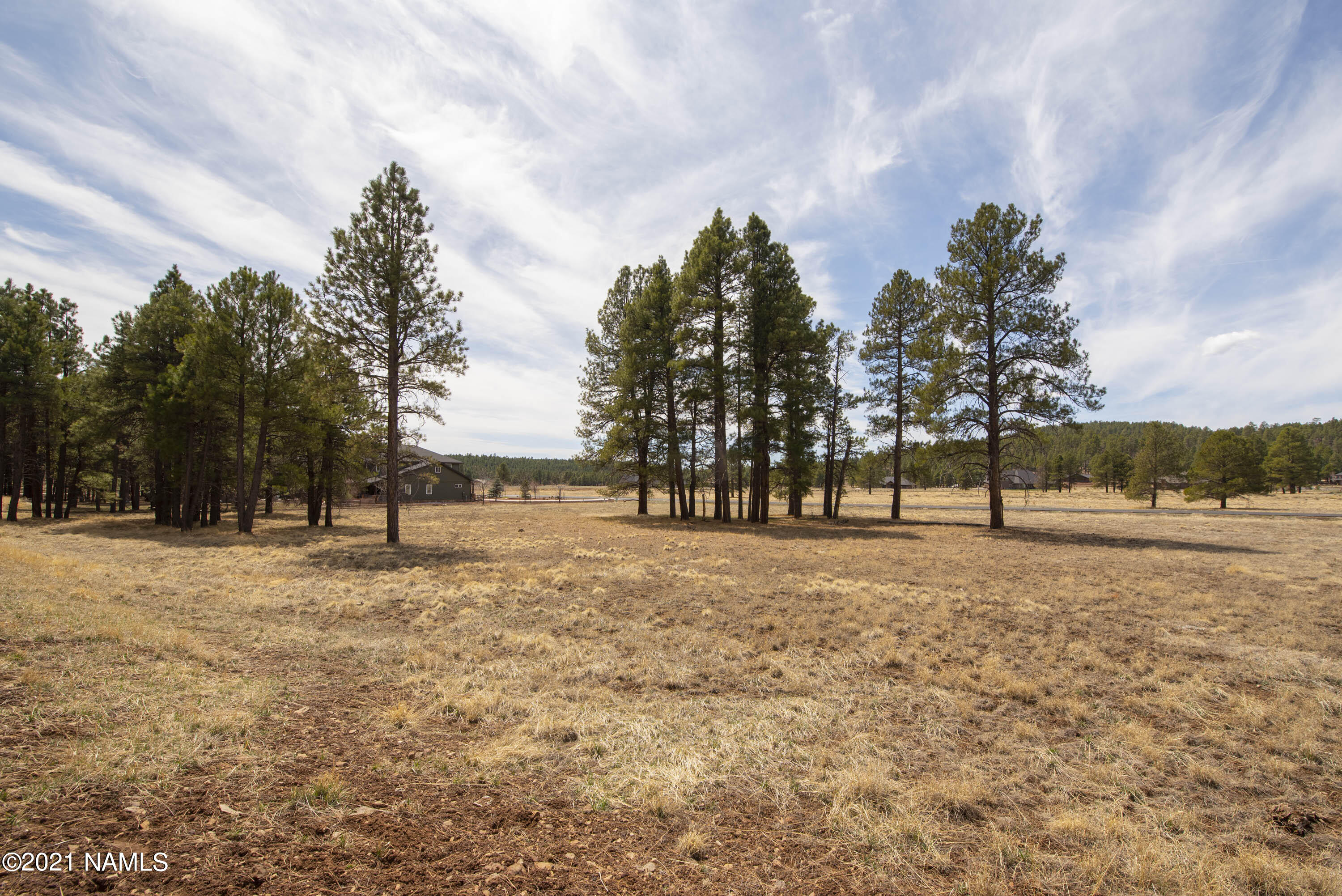 4565 Brackin Ranch Road Flagstaff, AZ 86001 - Photo 6 of 22 DSC_3330