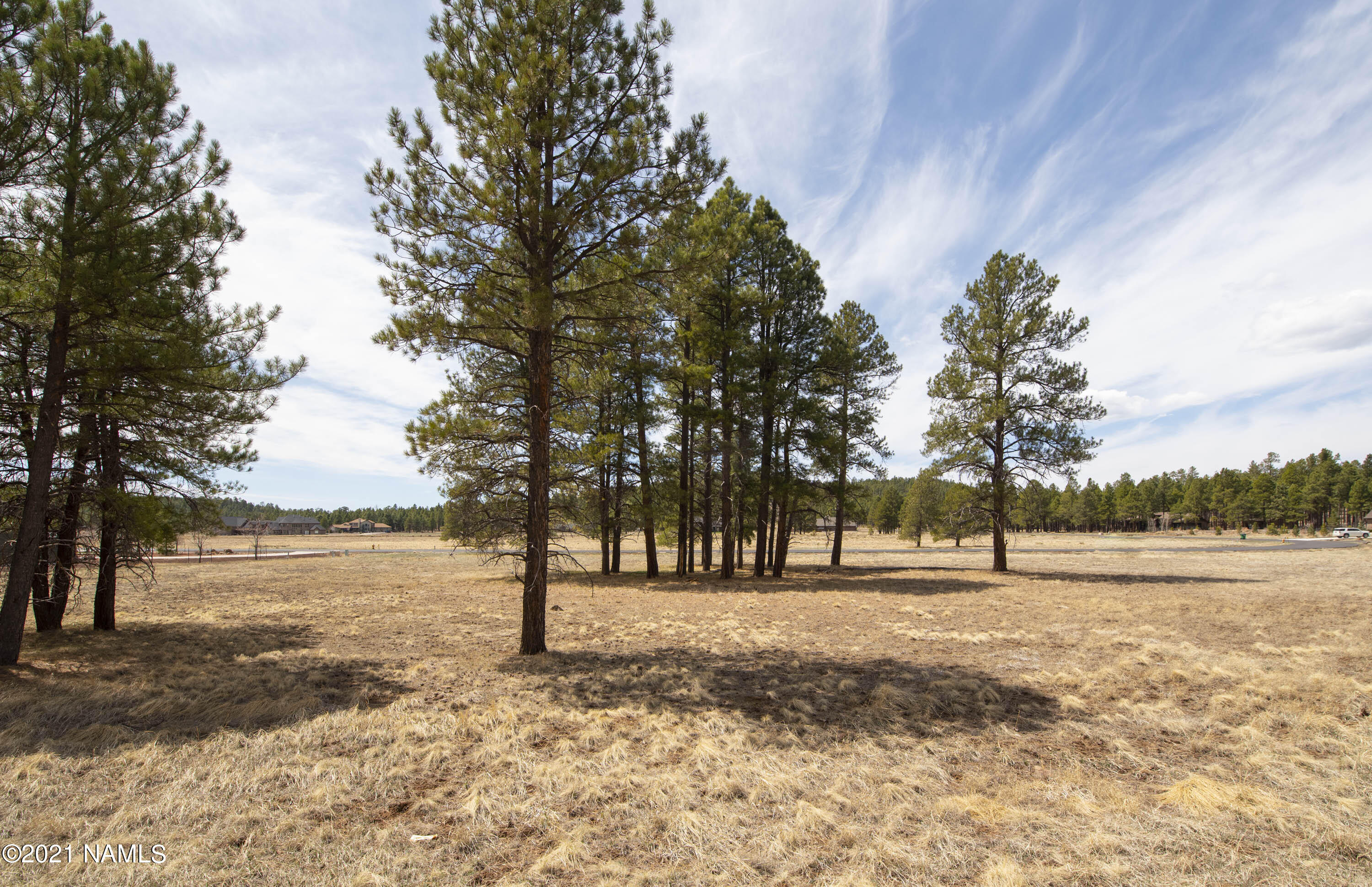 4565 Brackin Ranch Road Flagstaff, AZ 86001 - Photo 7 of 22 DSC_3335