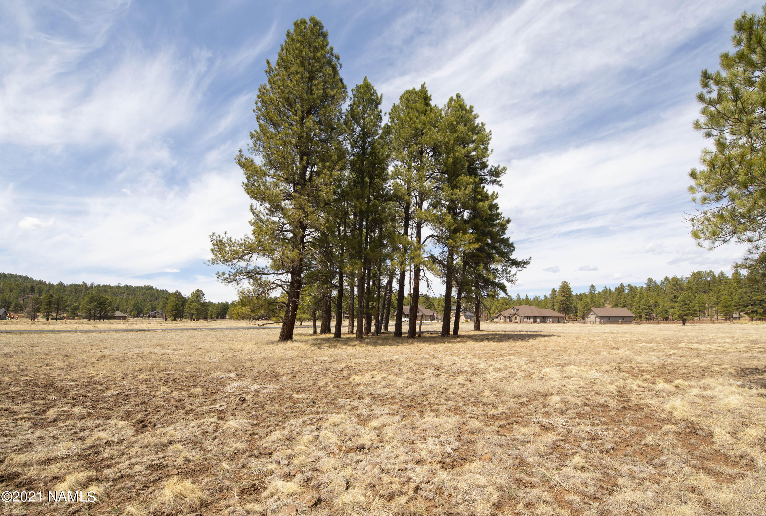 4565 Brackin Ranch Road Flagstaff, AZ 86001 - Photo 8 of 22 DSC_3340