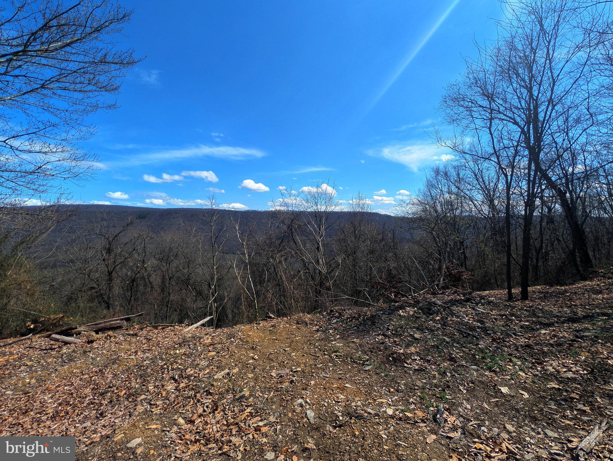 0 Pine Ridge Road James Creek, PA 16657 - Photo 12 of 23