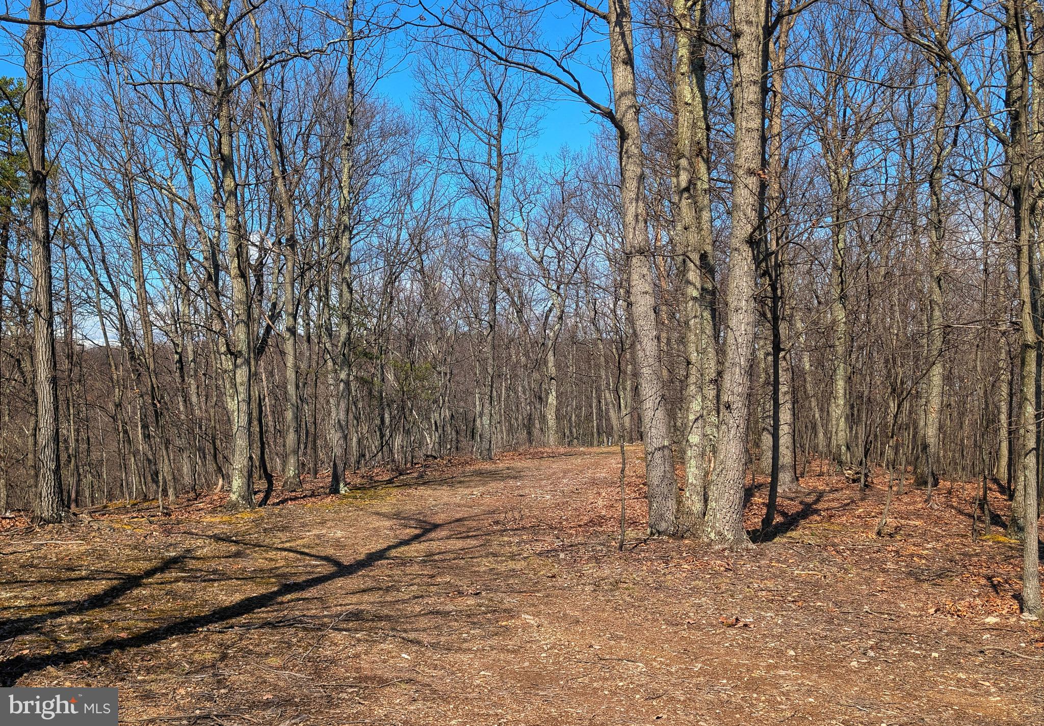 0 Pine Ridge Road James Creek, PA 16657 - Photo 18 of 23