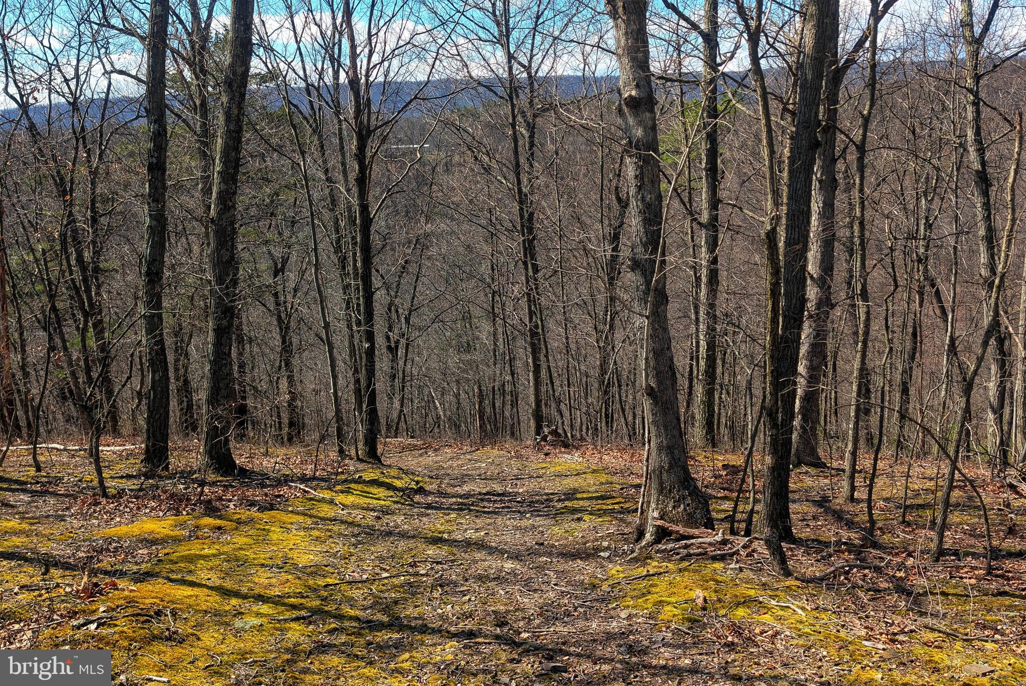 0 Pine Ridge Road James Creek, PA 16657 - Photo 21 of 23