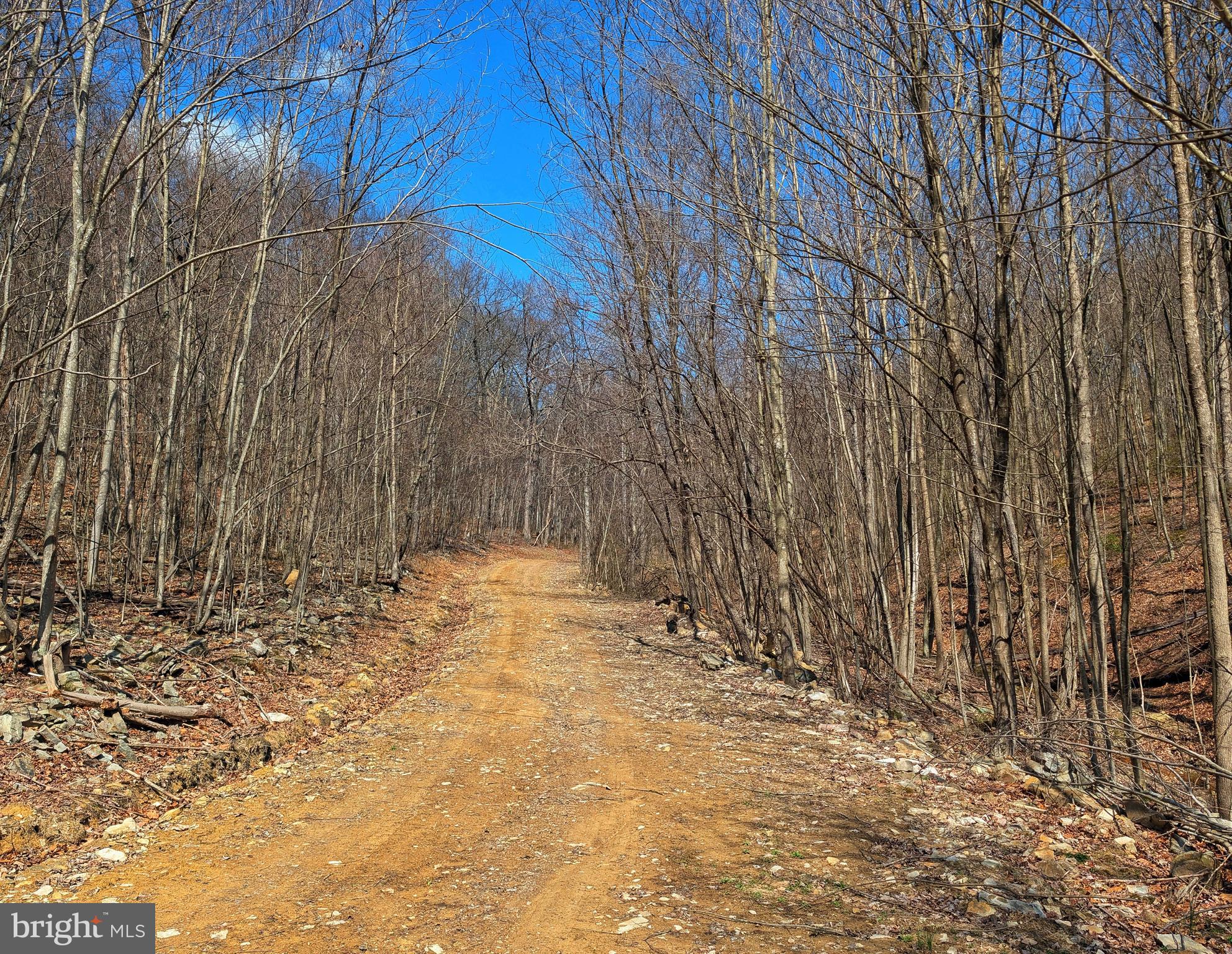 0 Pine Ridge Road James Creek, PA 16657 - Photo 23 of 23