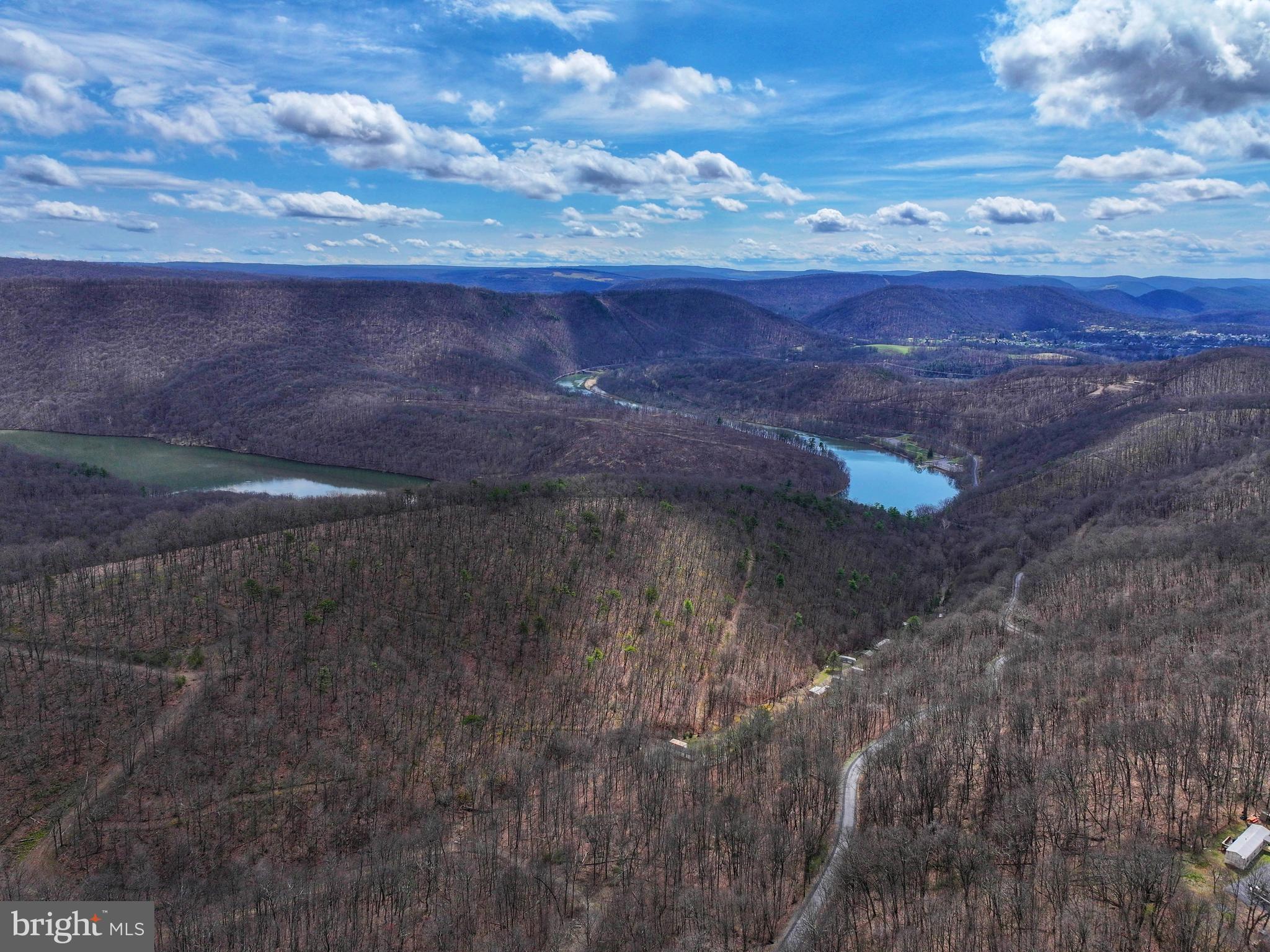 0 Pine Ridge Road James Creek, PA 16657 - Photo 3 of 23