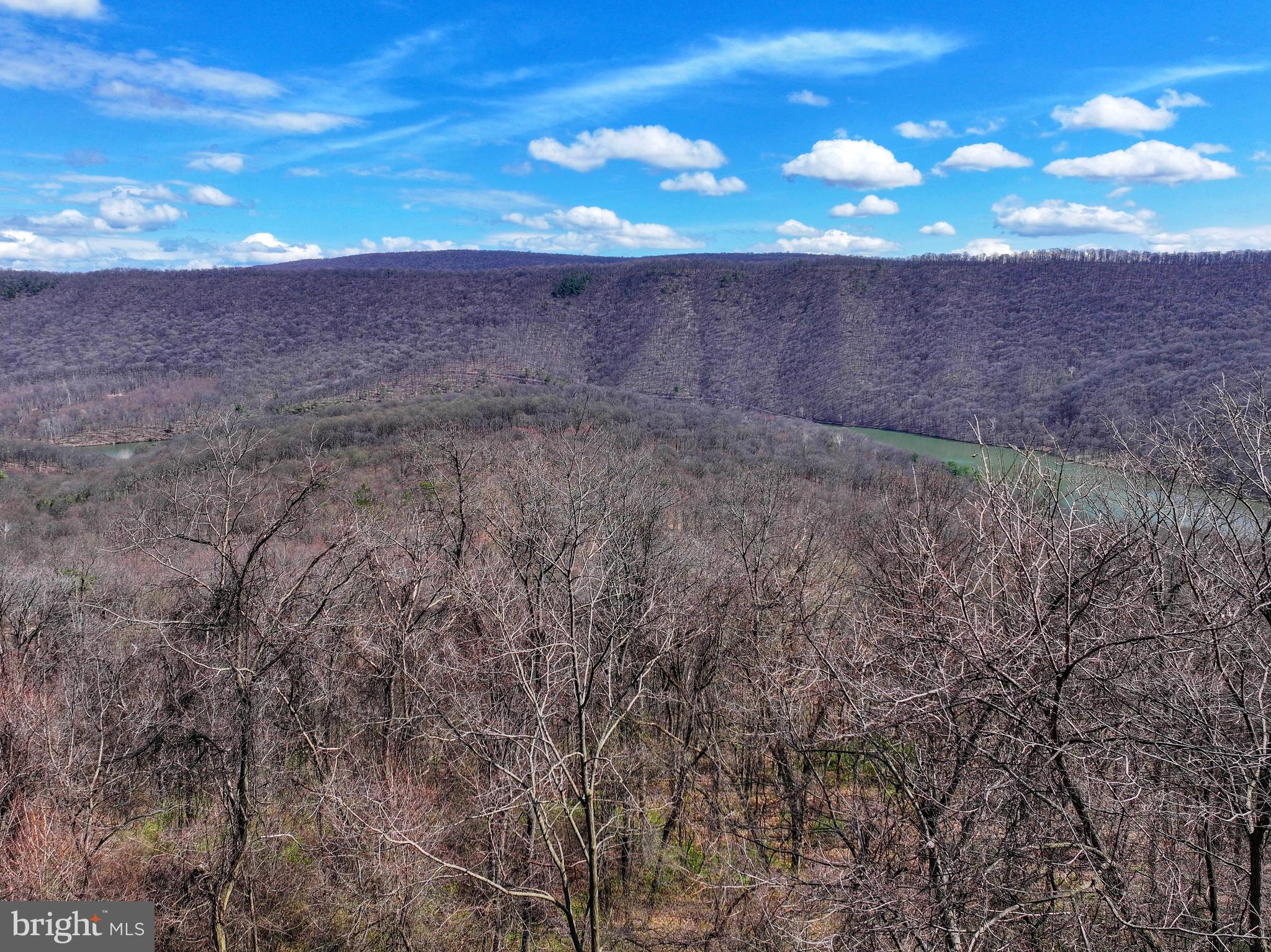 0 Pine Ridge Road James Creek, PA 16657 - Photo 8 of 23
