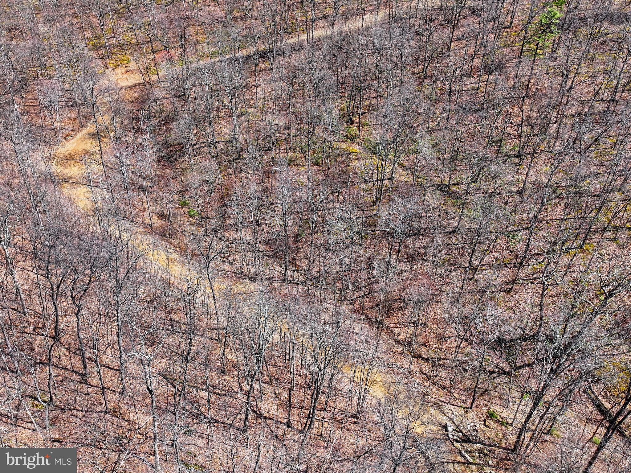 0 Pine Ridge Road James Creek, PA 16657 - Photo 10 of 23