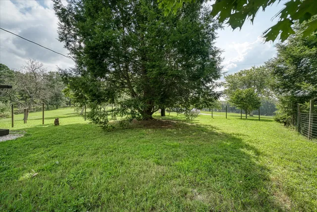 a view of field with trees