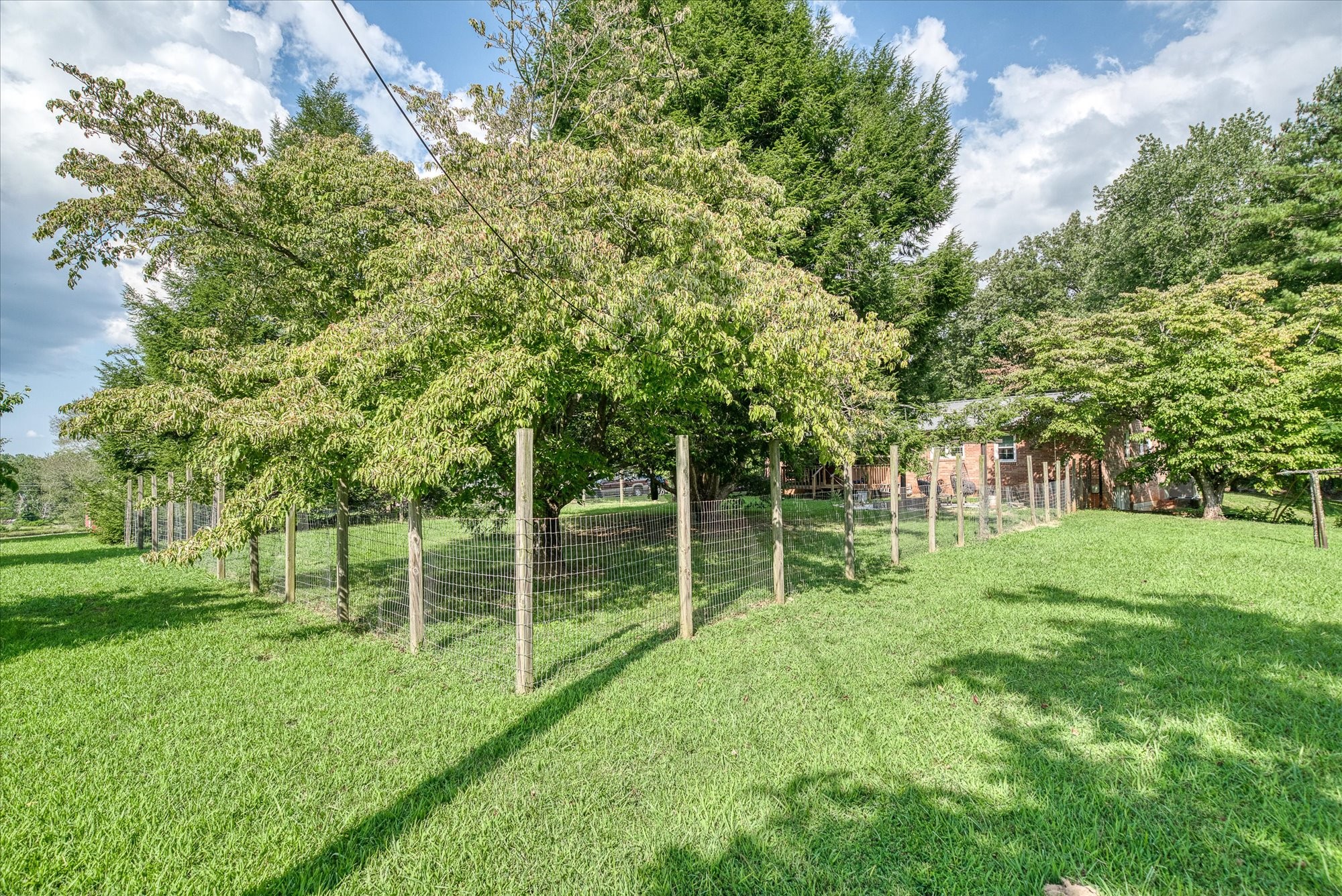 180 Frank Anderson Road Sparta, TN 38583 - Photo 27 of 45 a view of a park with a large tree