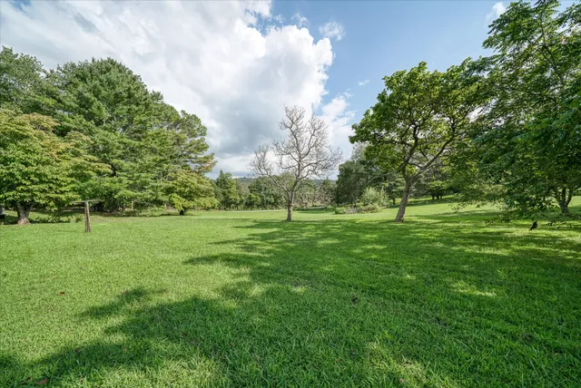 a view of grassy field with benches