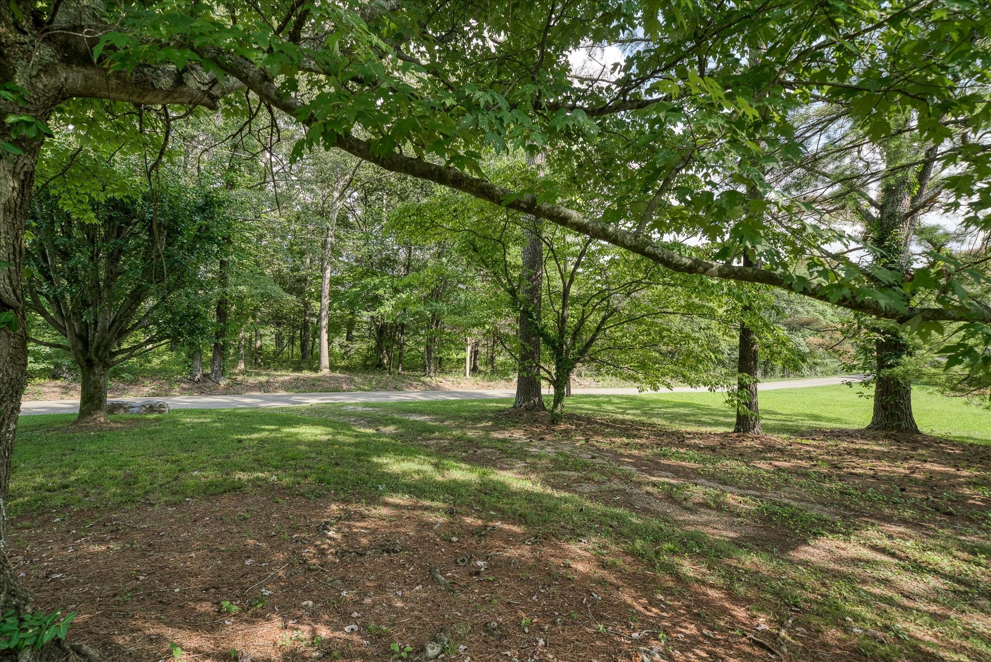 180 Frank Anderson Road Sparta, TN 38583 - Photo 30 of 45 a big yard with lots of green space and trees