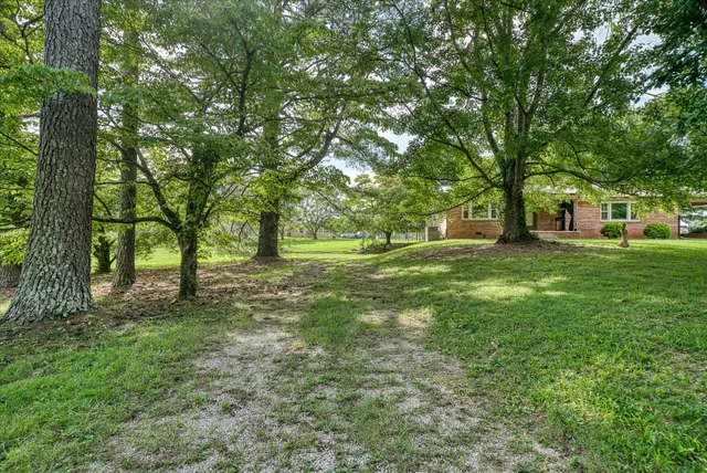 a big yard with lots of green space and deers