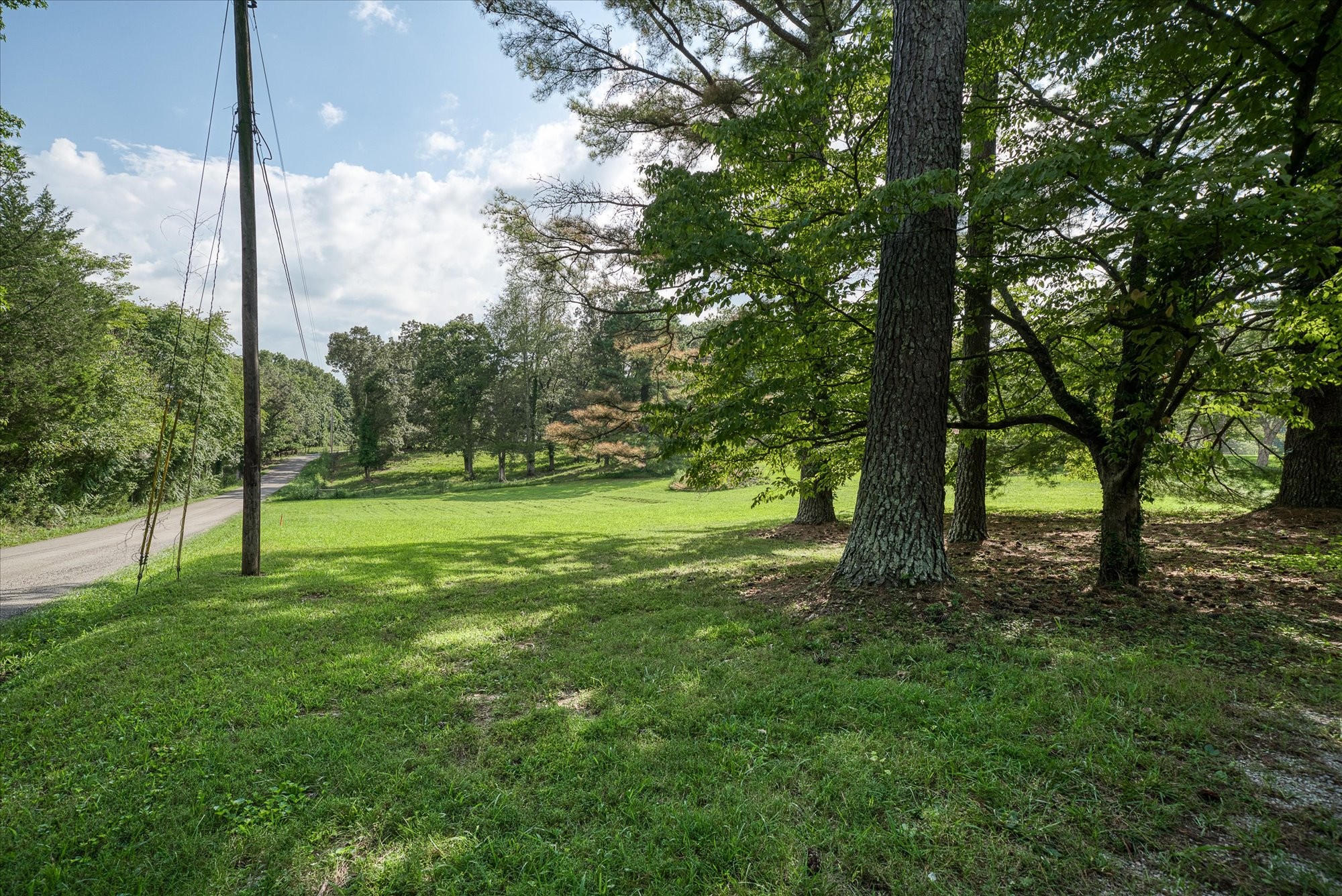 180 Frank Anderson Road Sparta, TN 38583 - Photo 32 of 45 a view of a trees with a yard