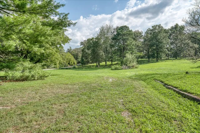 a view of a grassy field with trees in the background
