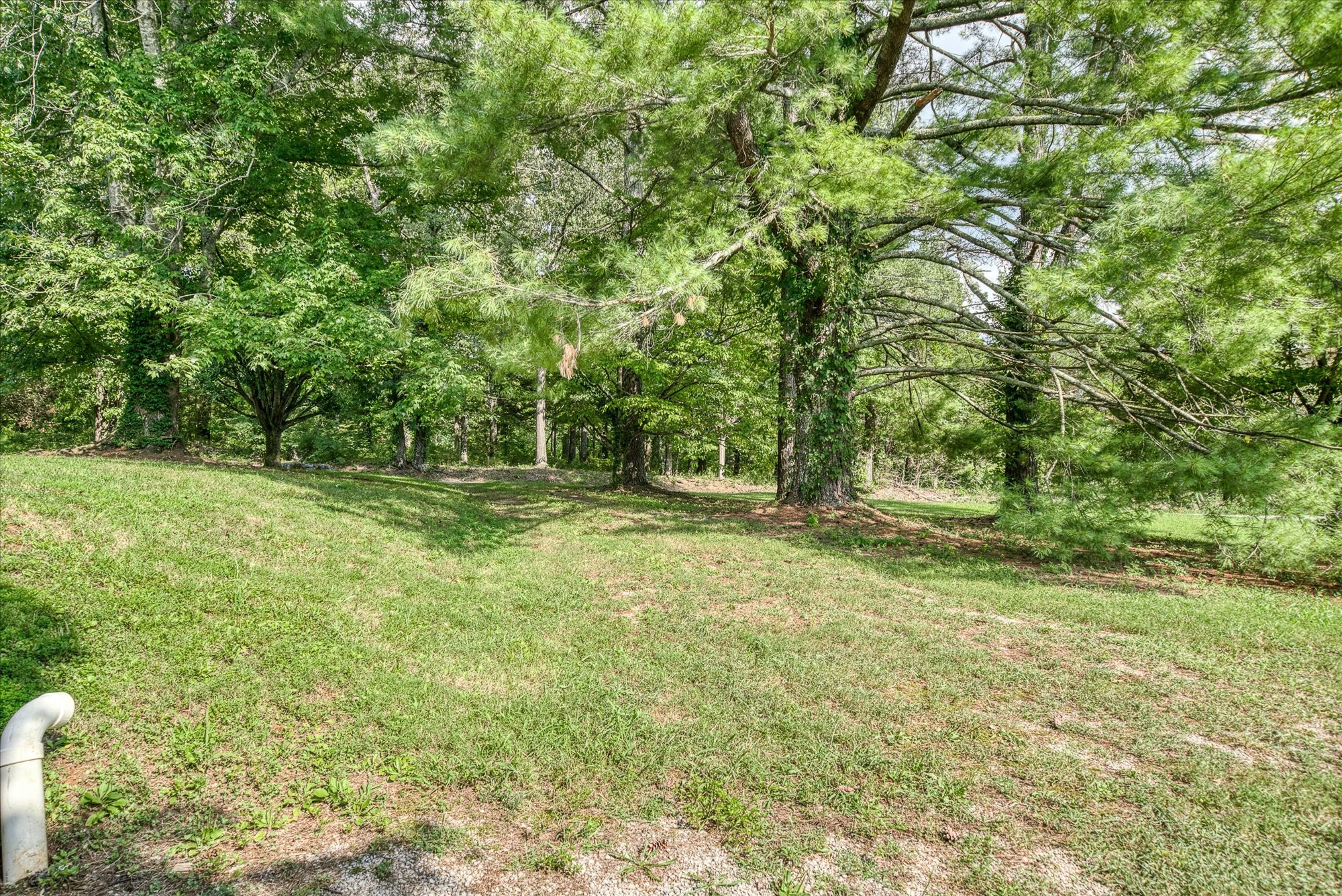 180 Frank Anderson Road Sparta, TN 38583 - Photo 35 of 45 a backyard of a house with lots of green space