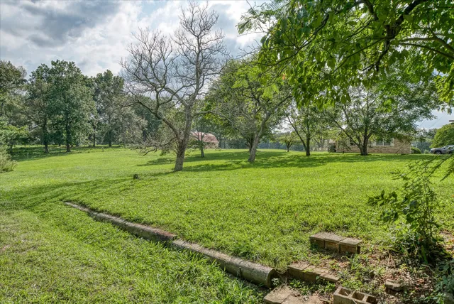 a view of a grassy field with trees